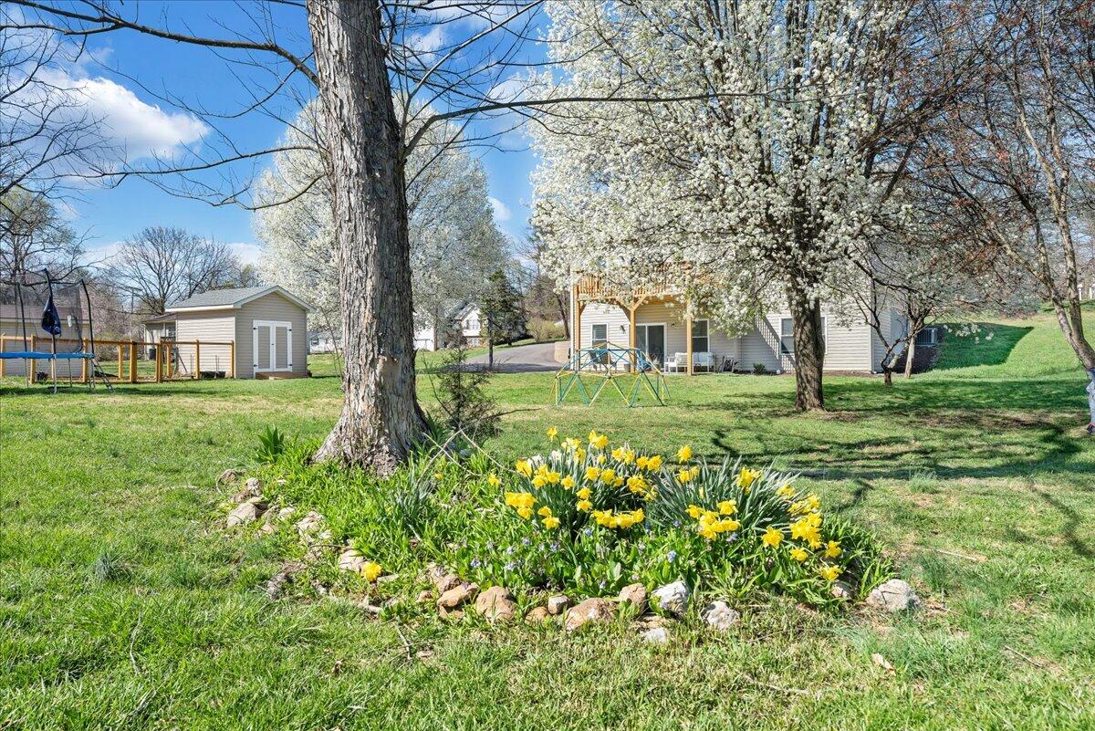 3556 Overbrook DR