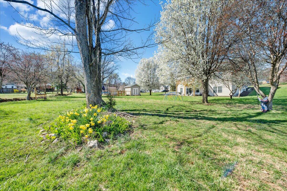 3556 Overbrook DR