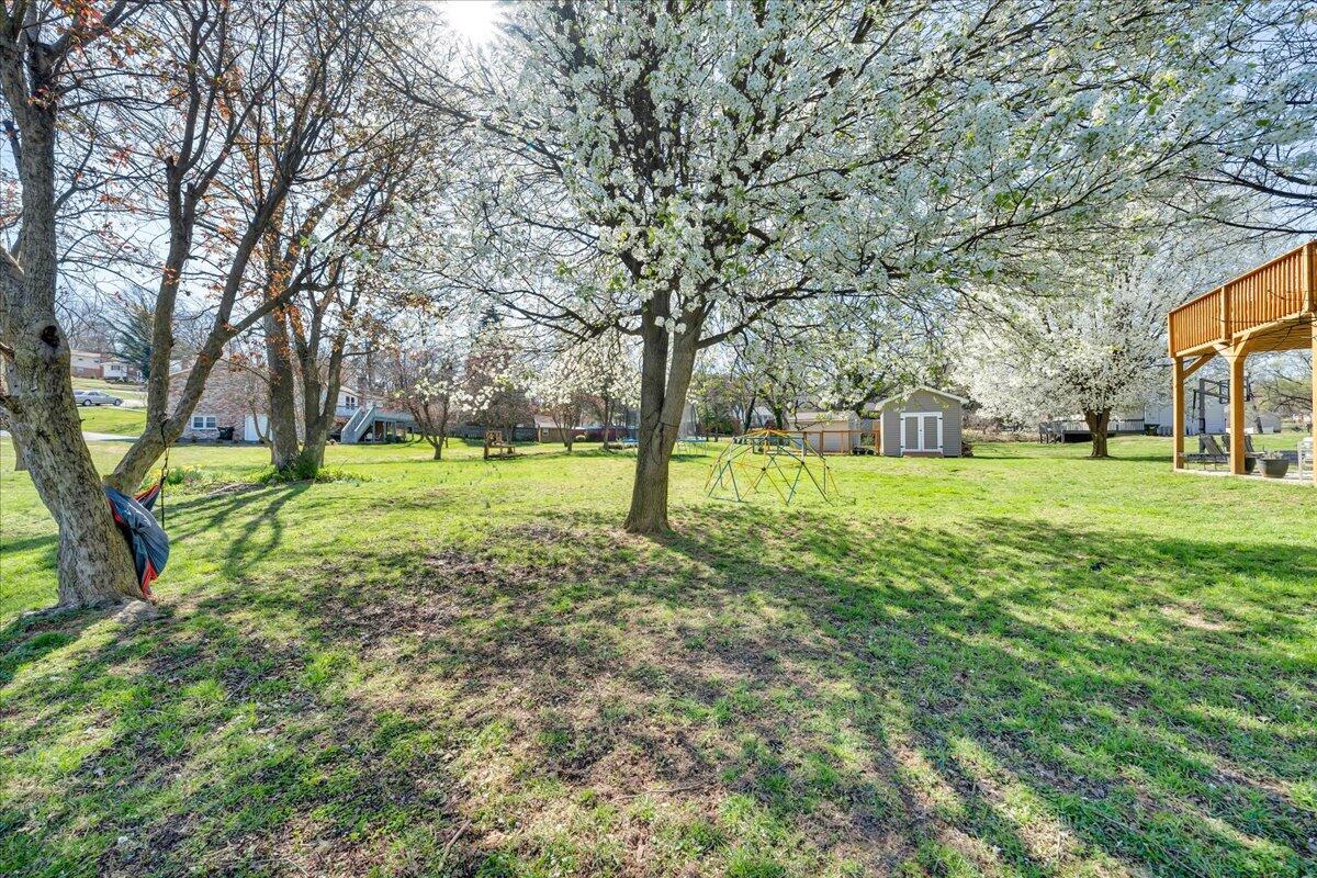 3556 Overbrook DR