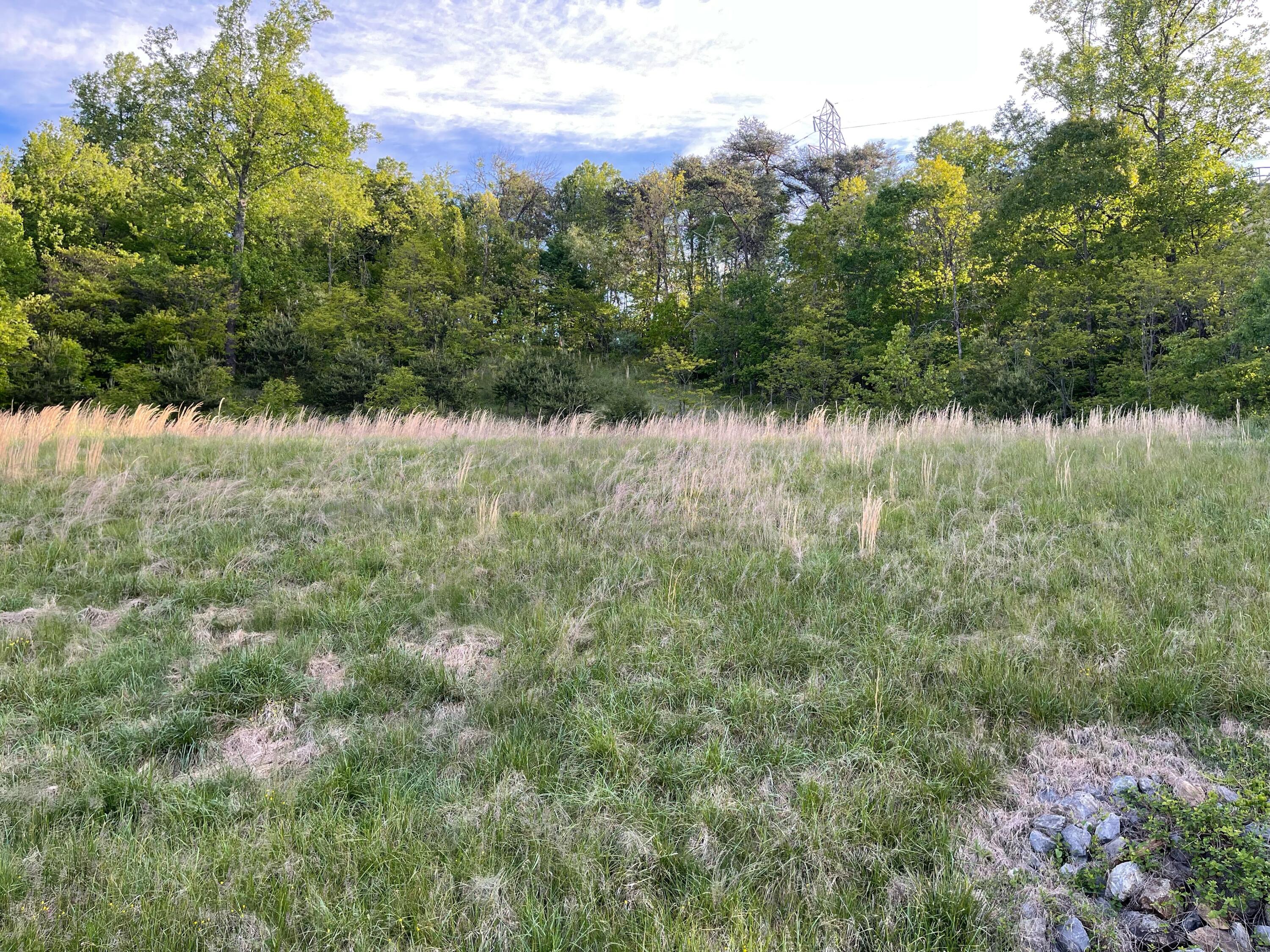 4468 Toddsbury DR