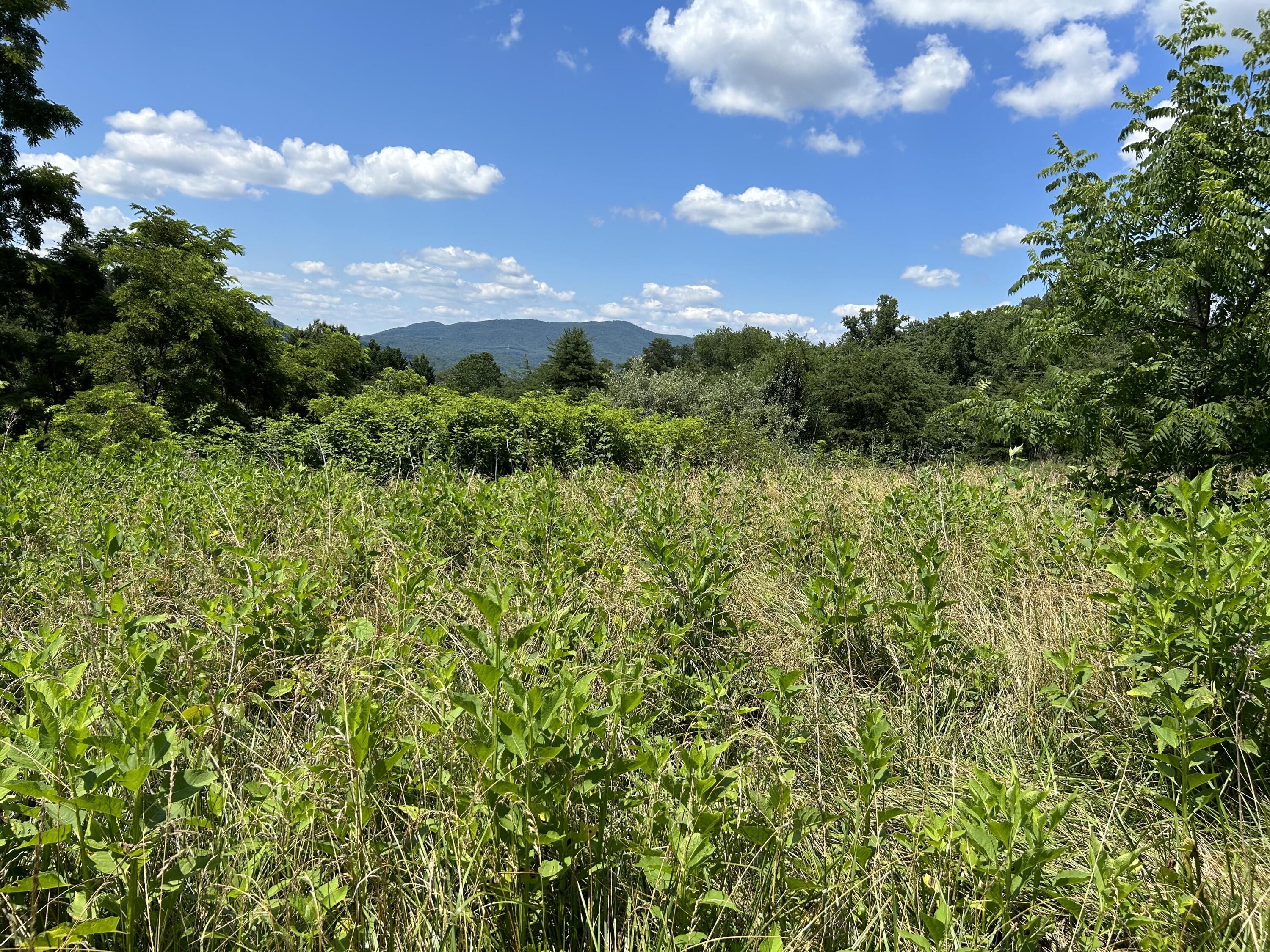 0 Misty Mountain Ln LN