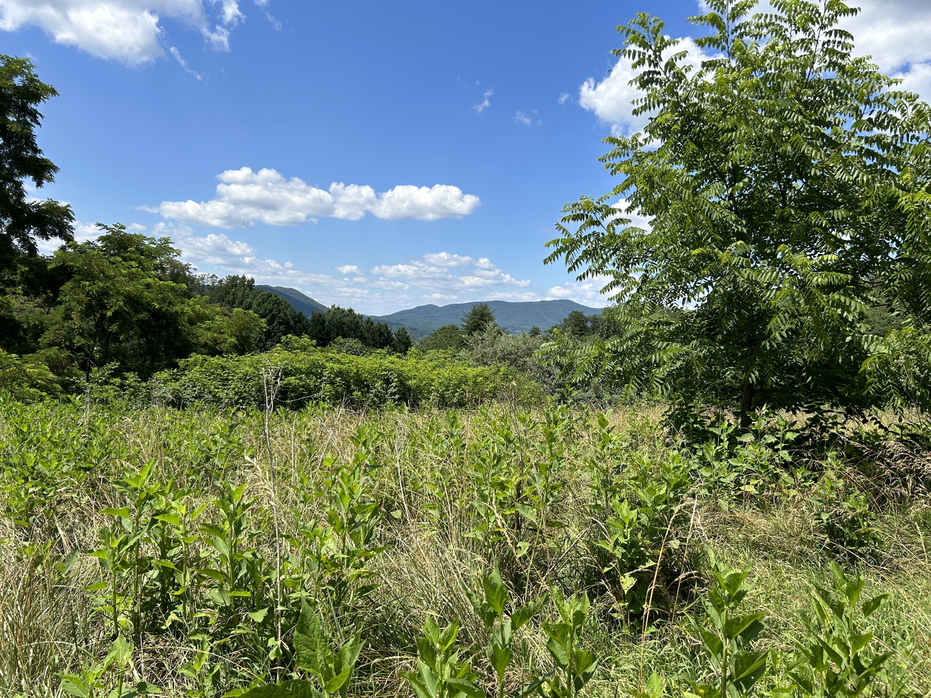 0 Misty Mountain Ln LN