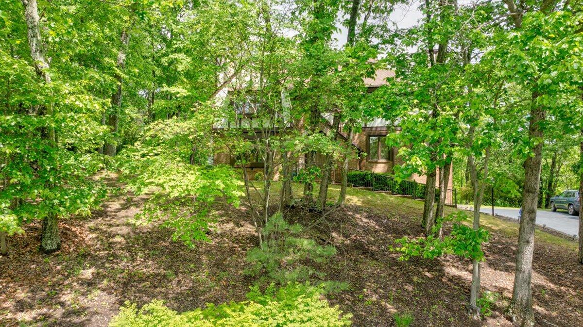 1783 Laurel Mountain DR