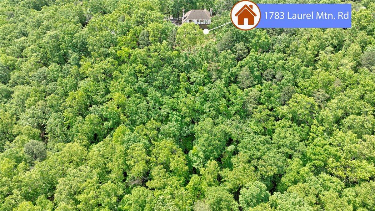 1783 Laurel Mountain DR