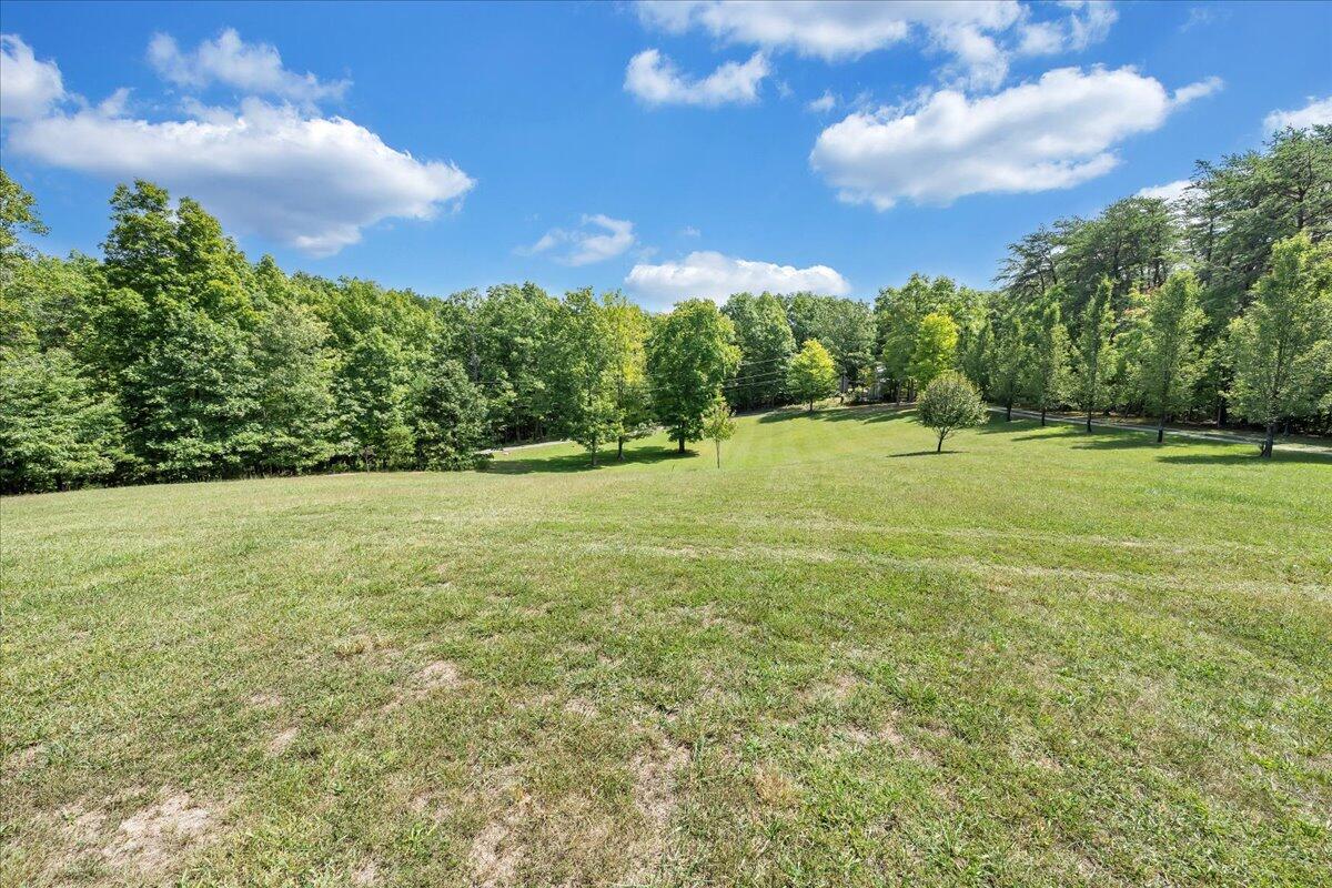 85 Walnut Springs LN