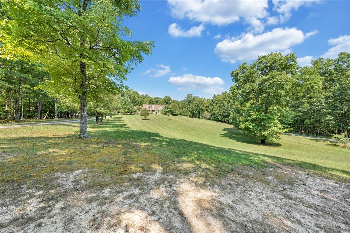 85 Walnut Springs LN