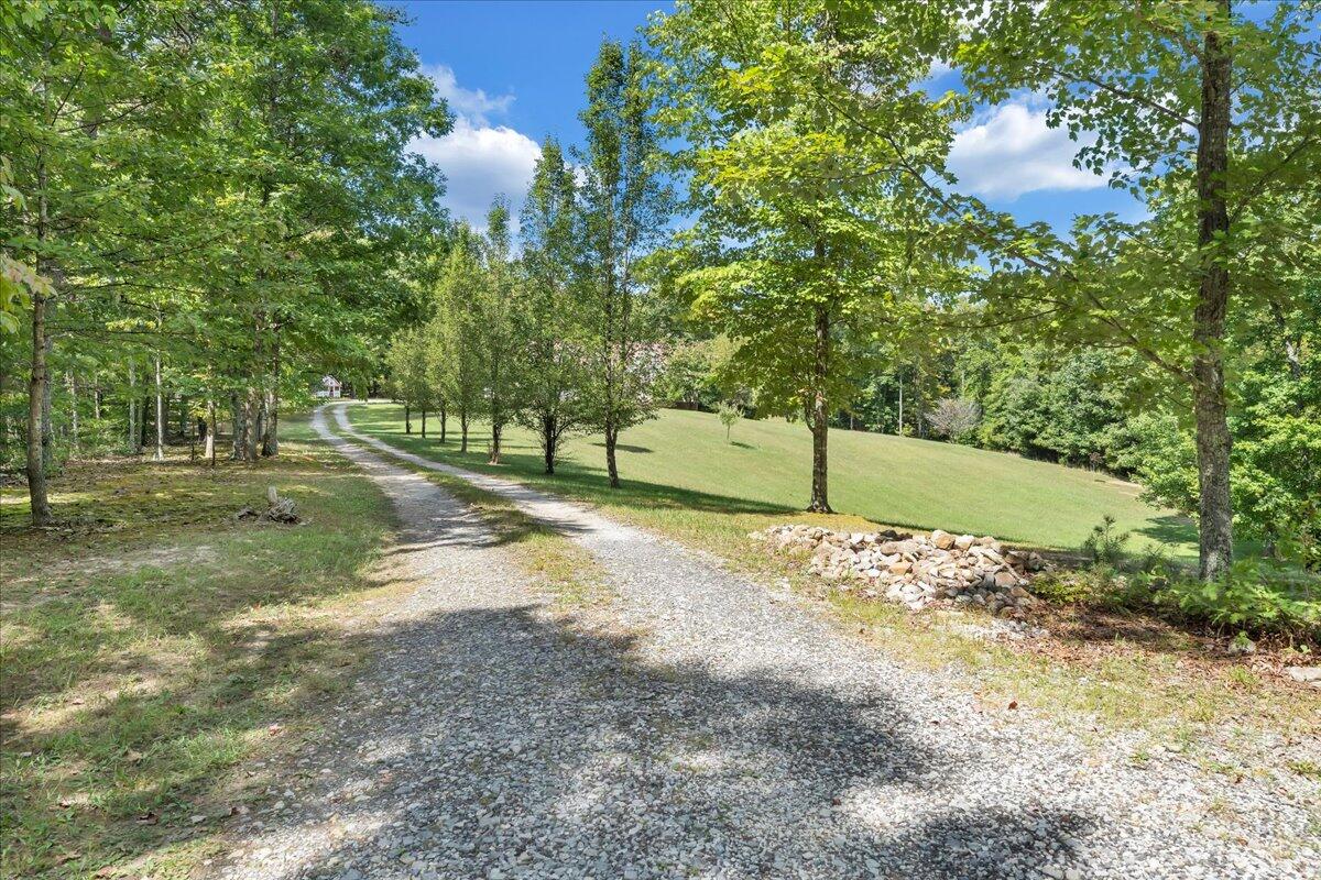 85 Walnut Springs LN