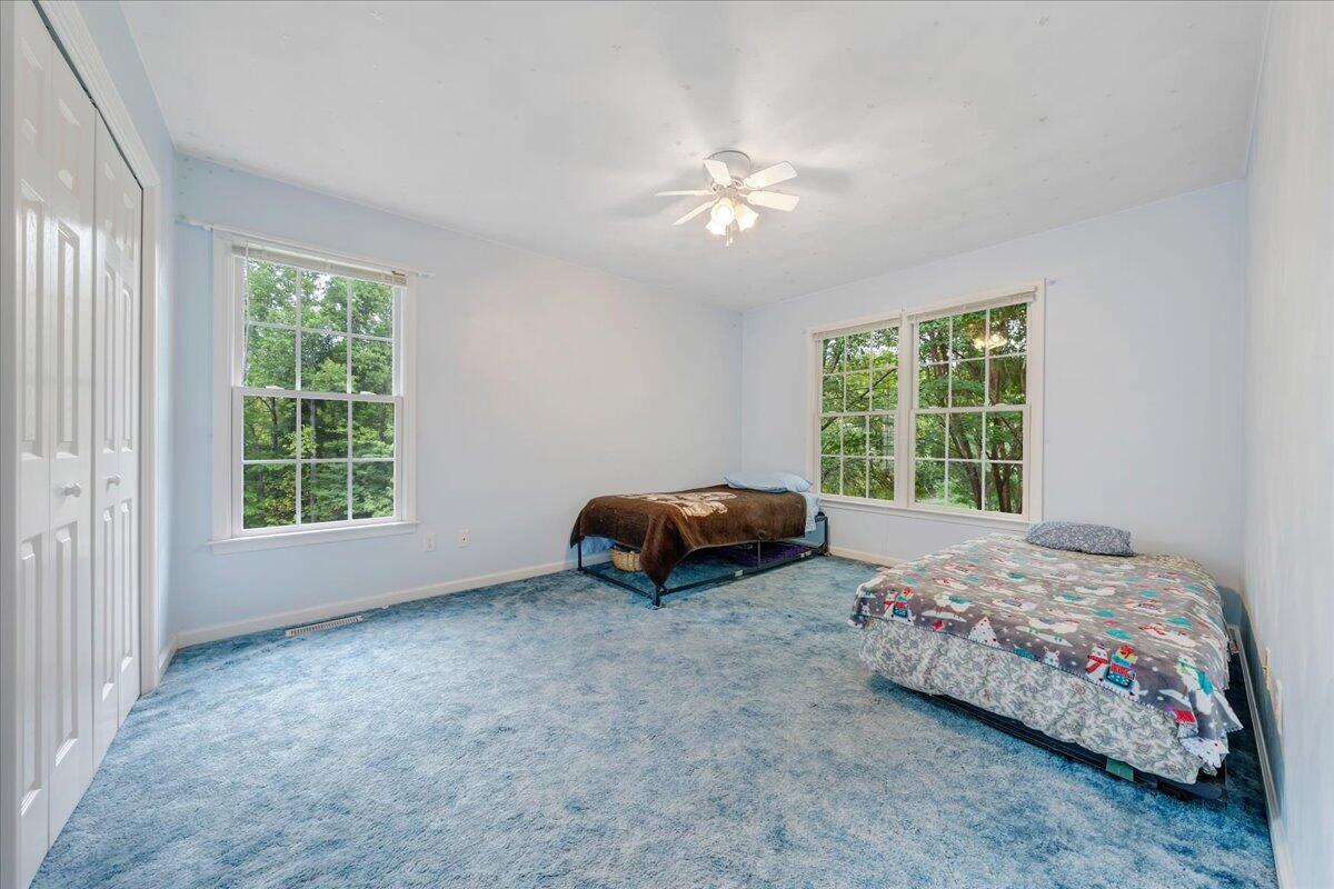 85 Walnut Springs LN