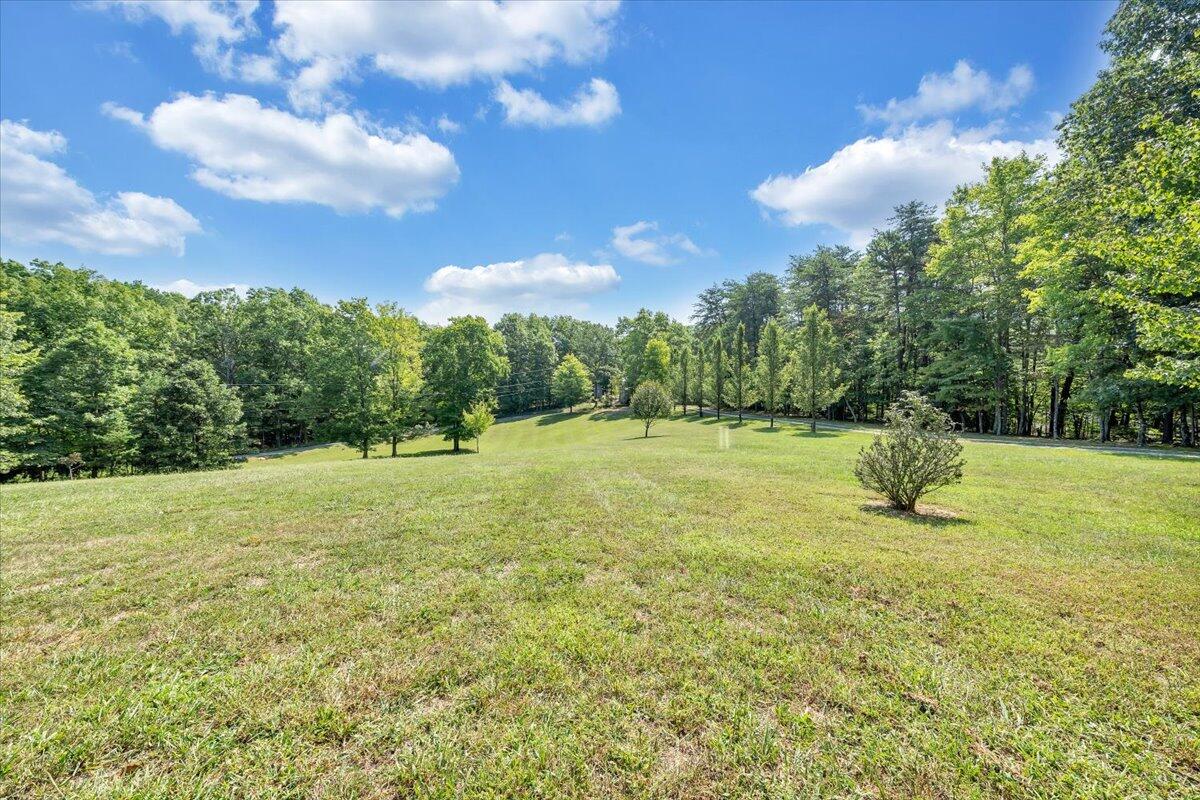 85 Walnut Springs LN