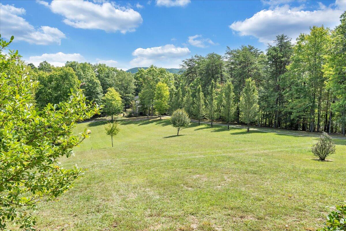 85 Walnut Springs LN