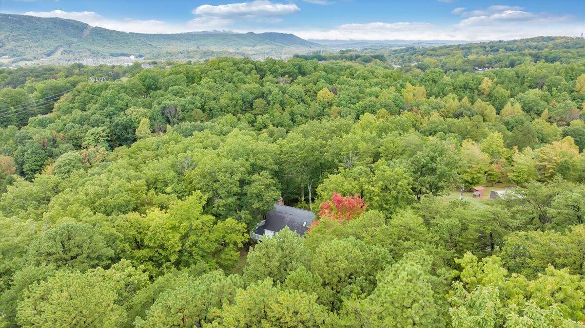 272 Basham LN