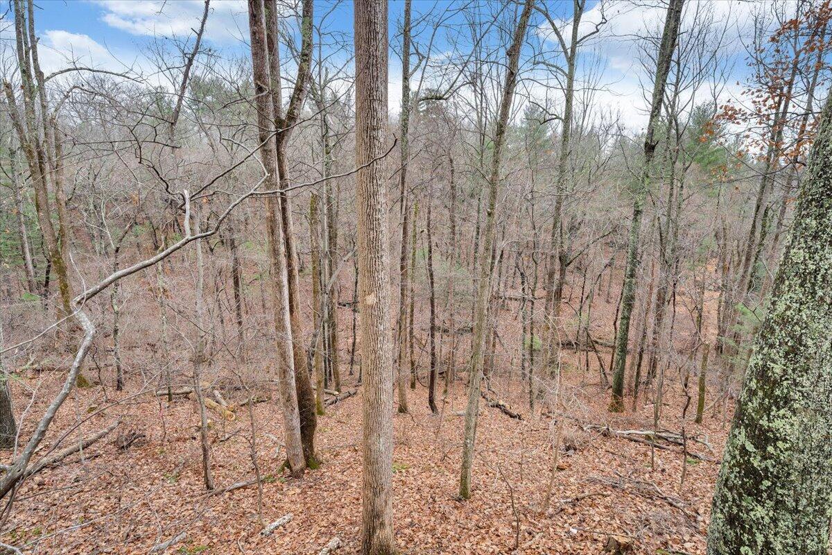12 Crestwood DR
