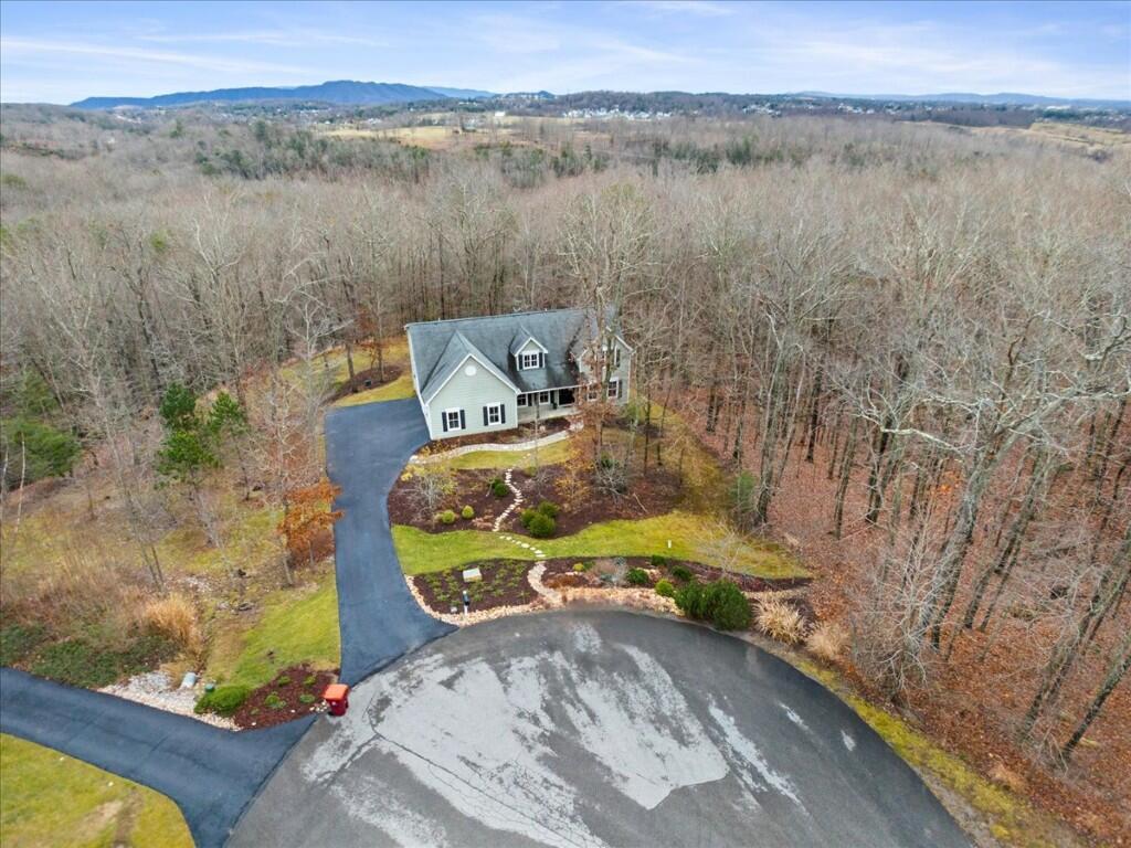 1801 Brush Mountain CIR