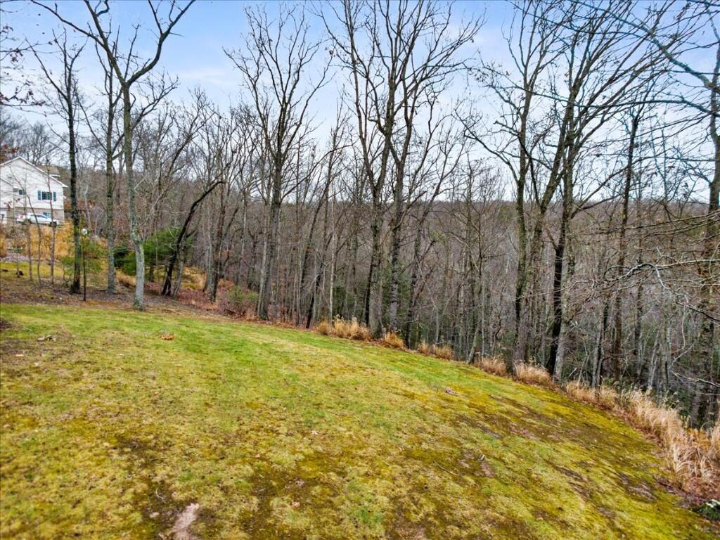 1801 Brush Mountain CIR