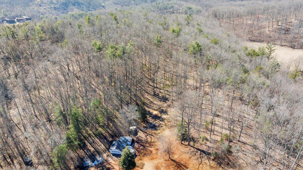53 Angell LN