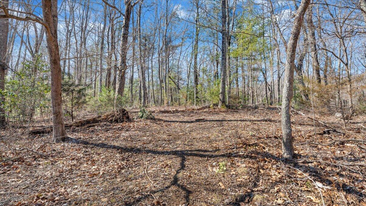53 Angell LN