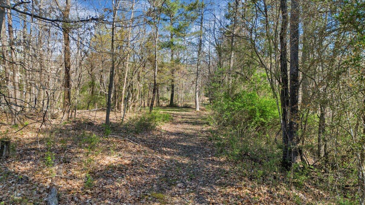 0 Timber Bridge RD