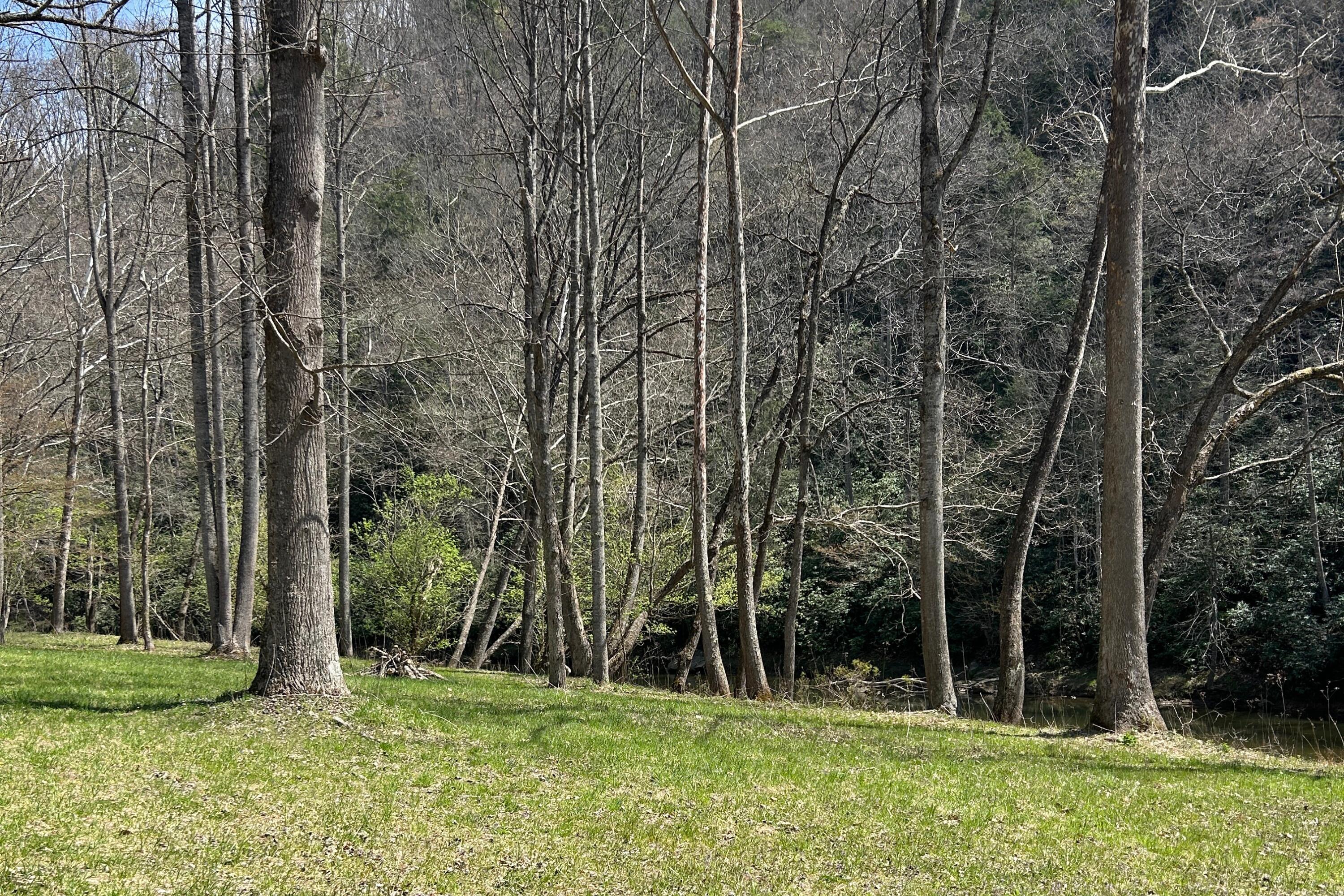 5900 Chestnut Ridge RD