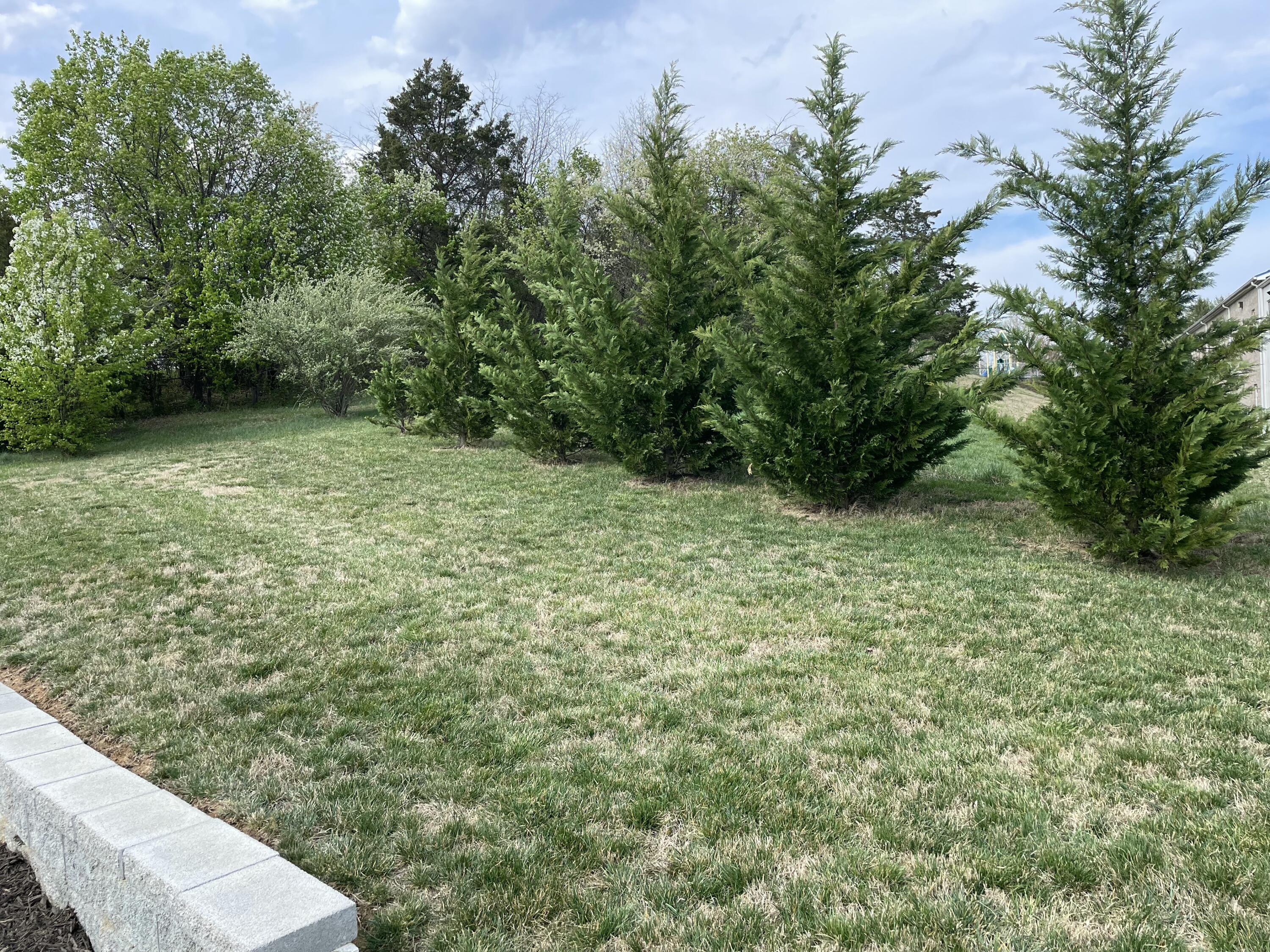 7932 Carriage Park DR