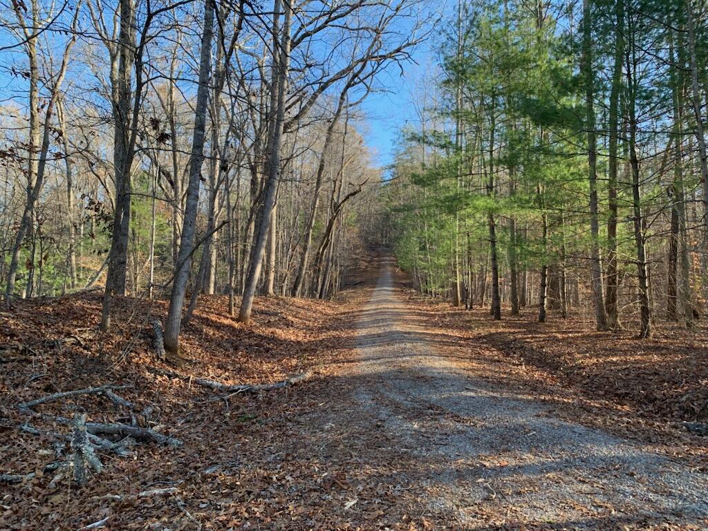 104 Hickory Lake LN