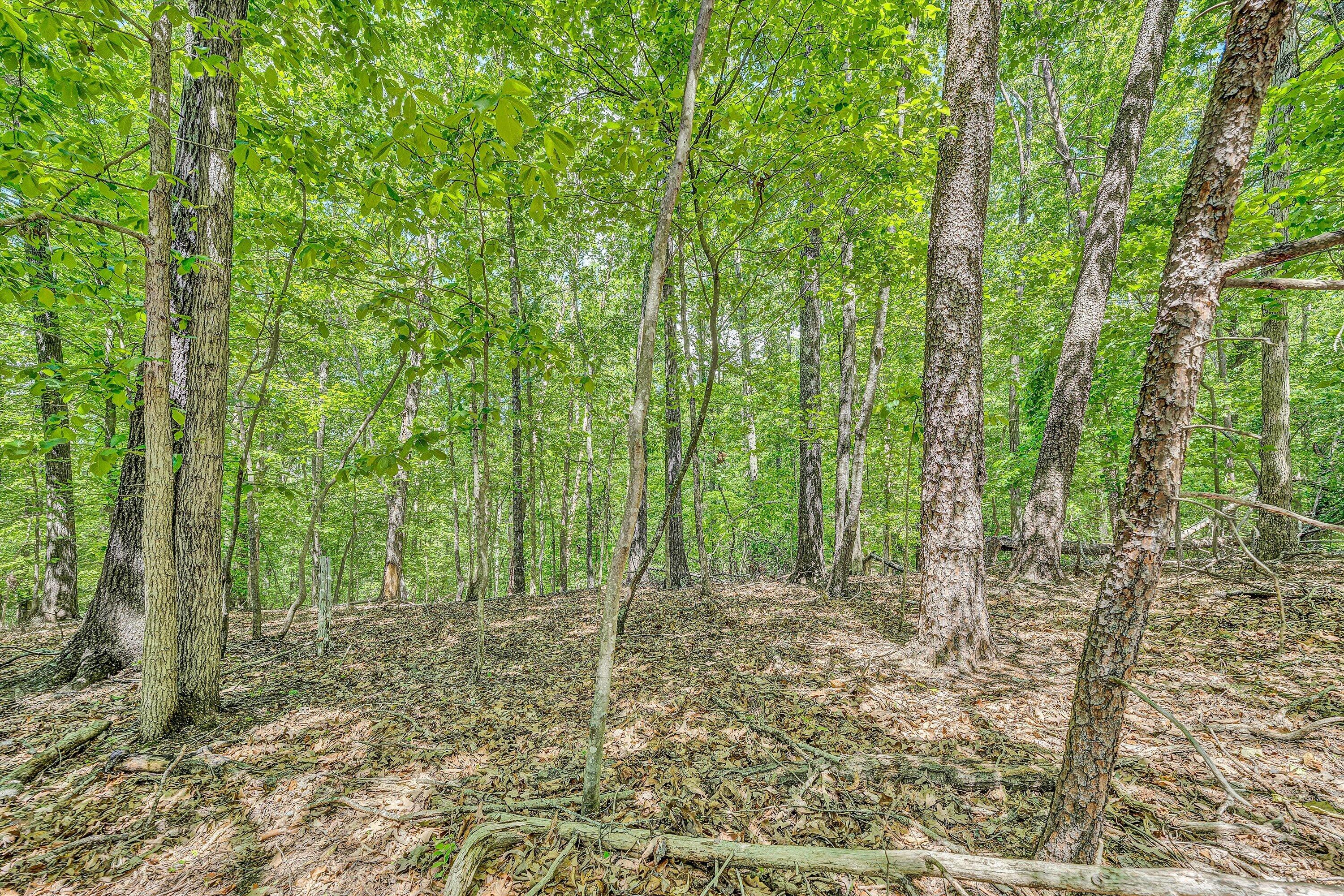 Lot 27 Oak Hollow RD