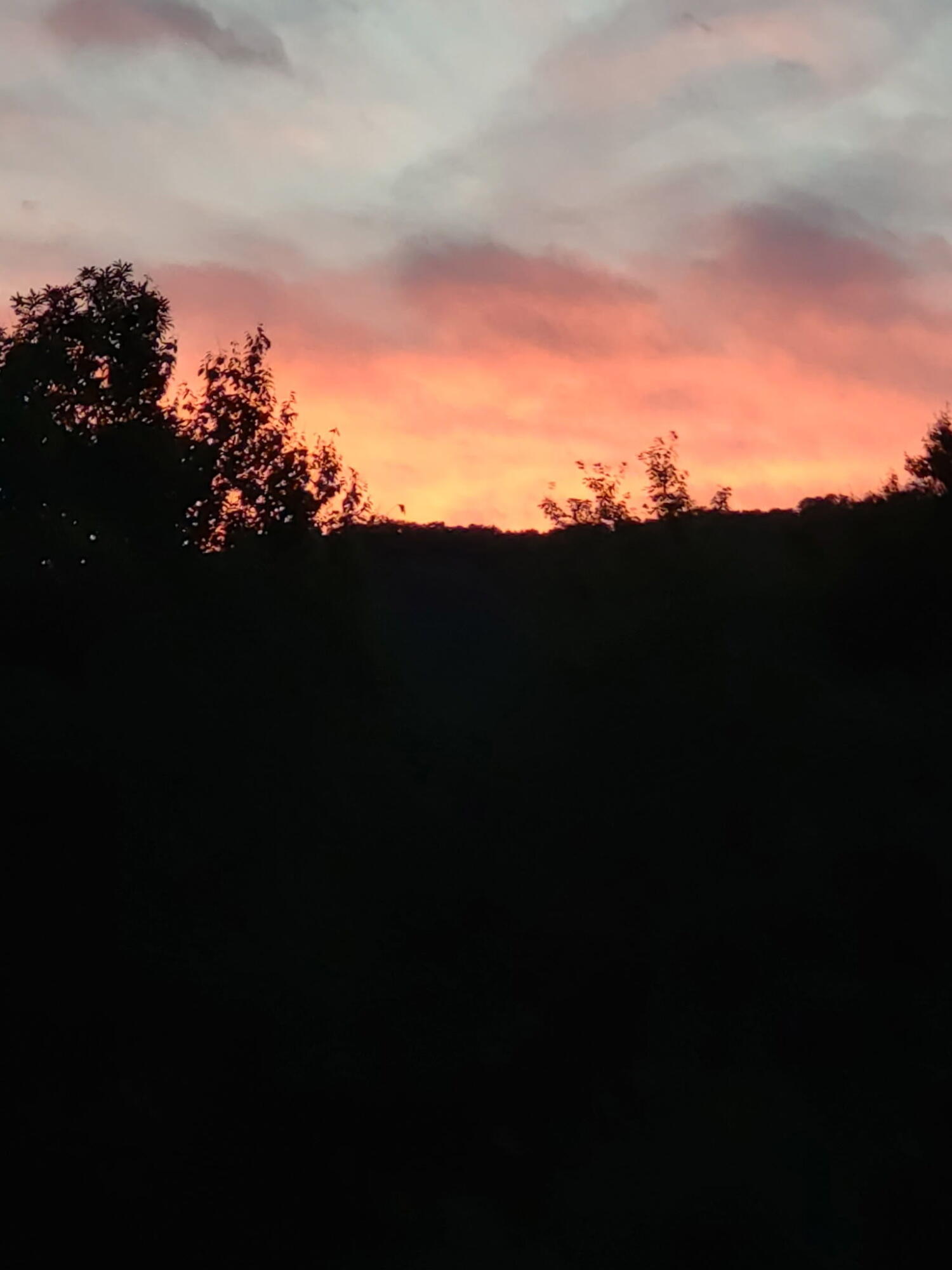 2880 Garden City BLVD SE