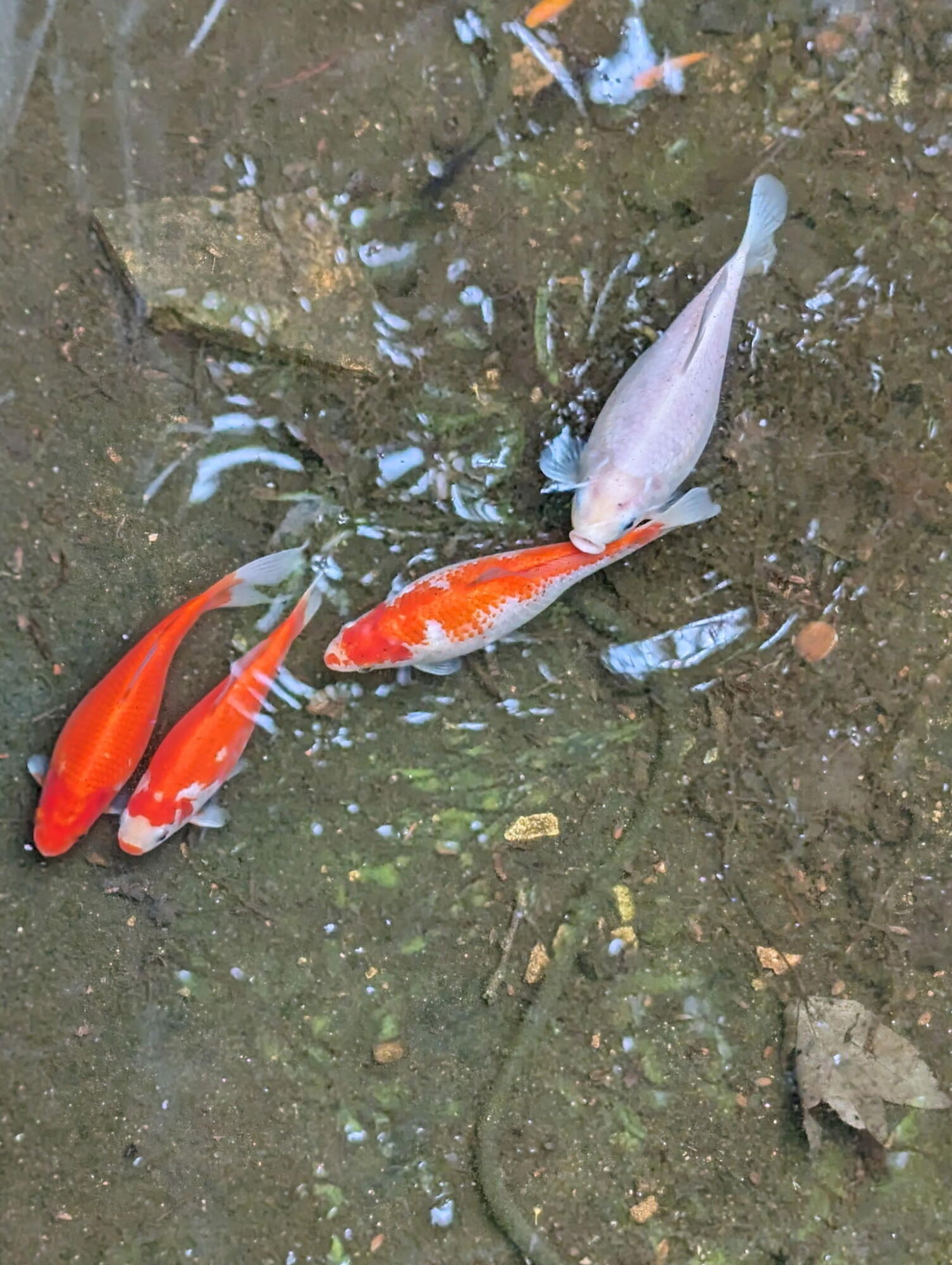 2880 Garden City BLVD SE