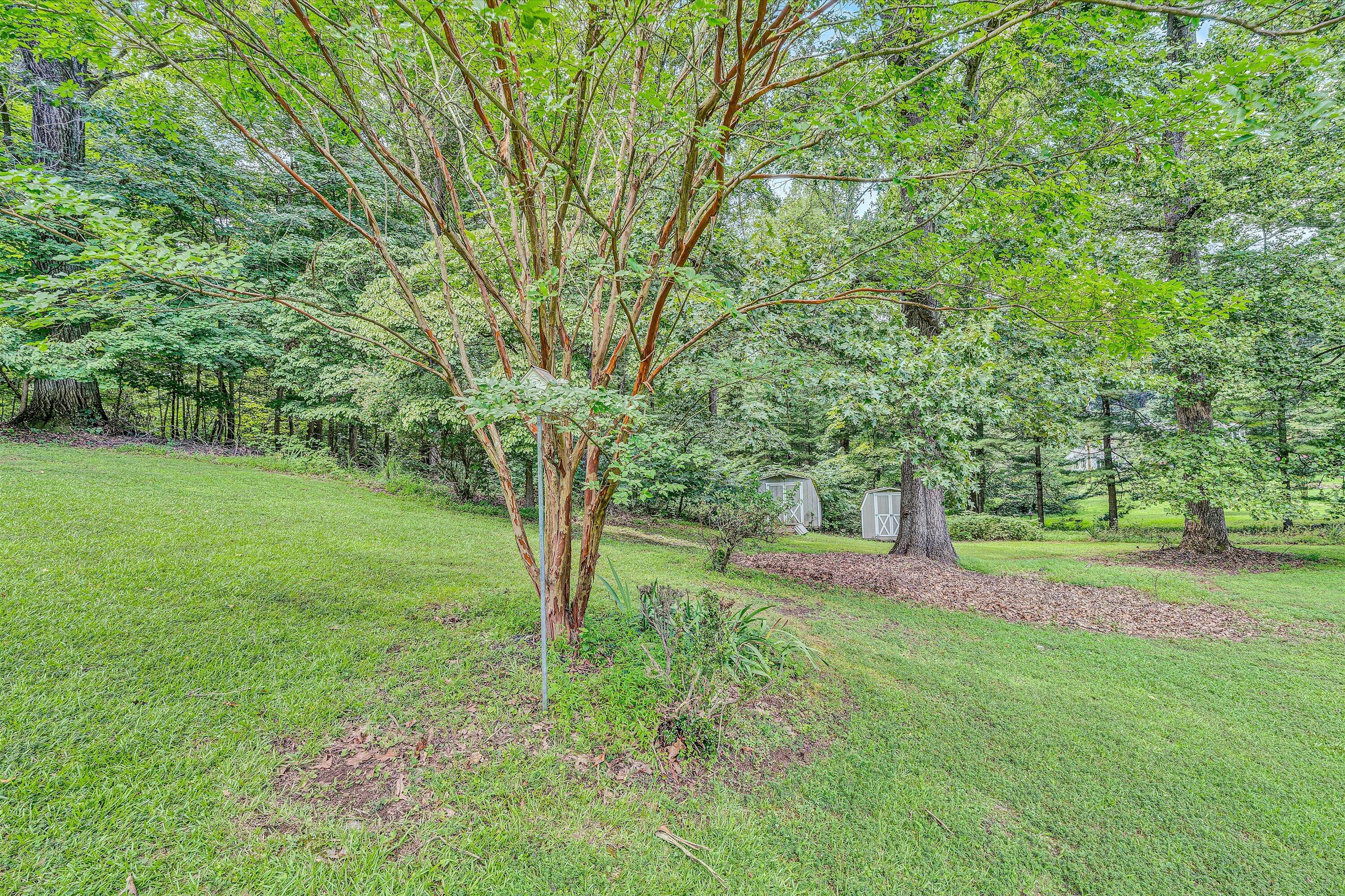 4725 Tree Top Camp RD