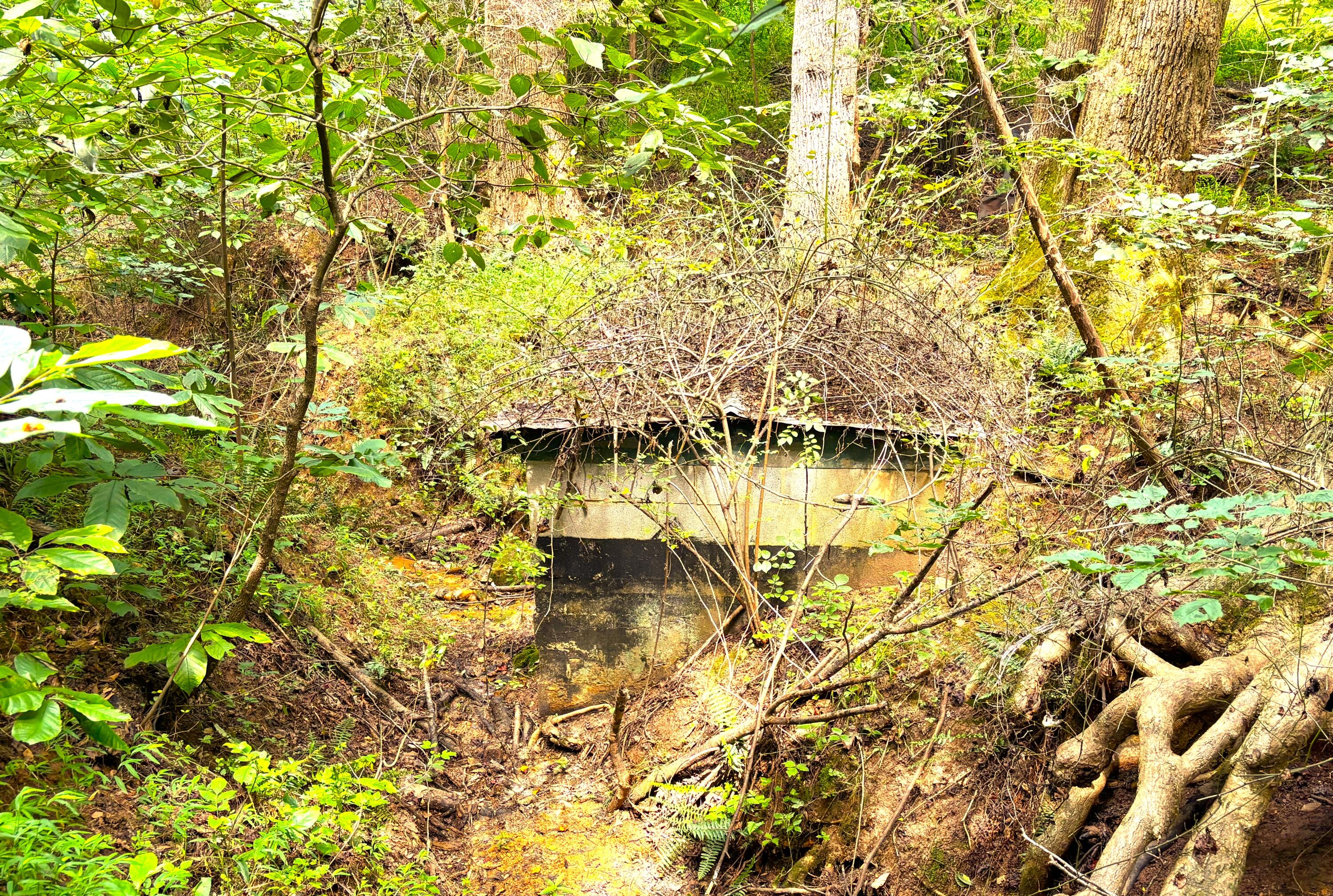 1235 Rock Spring RD
