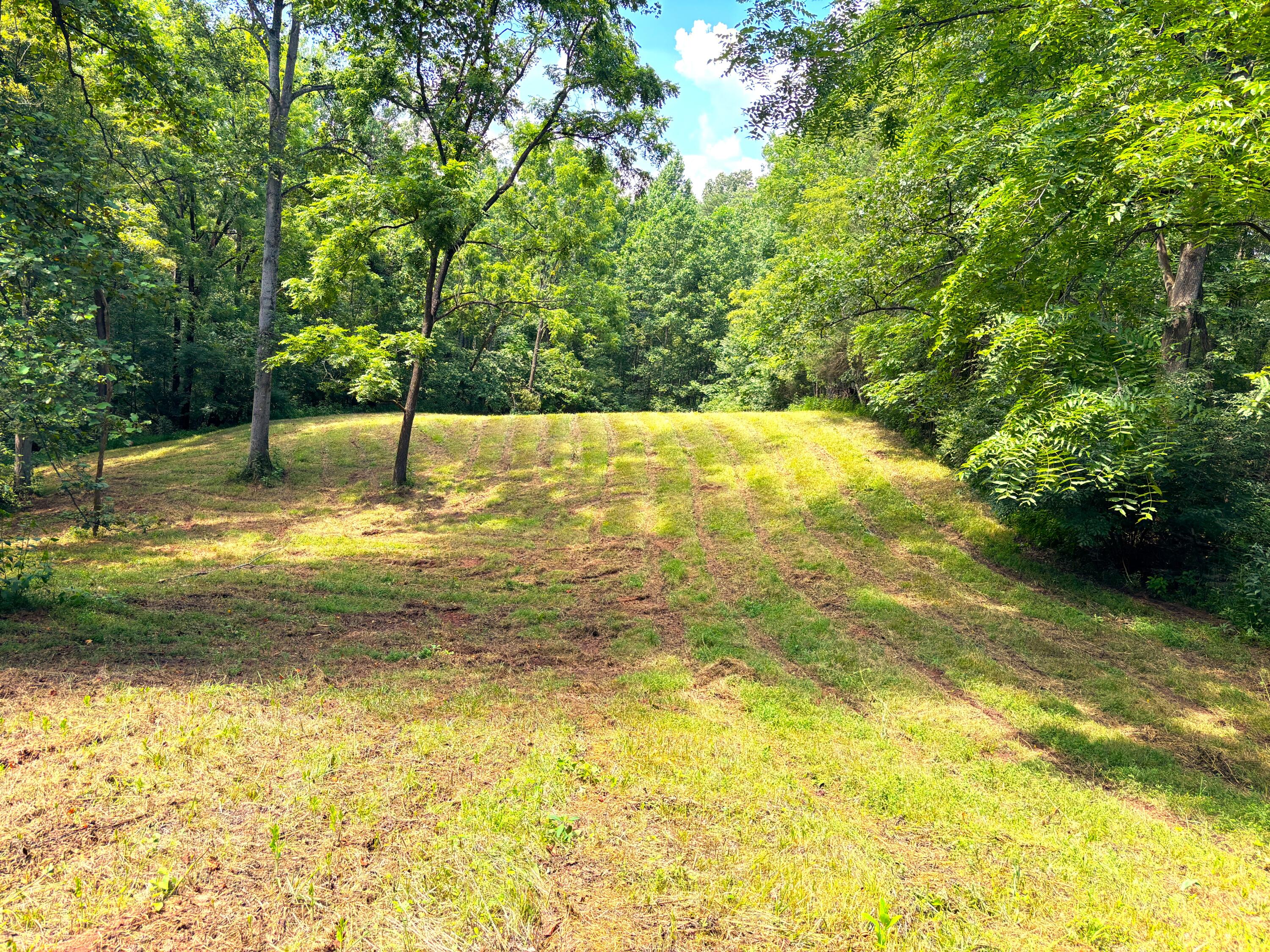 1235 Rock Spring RD