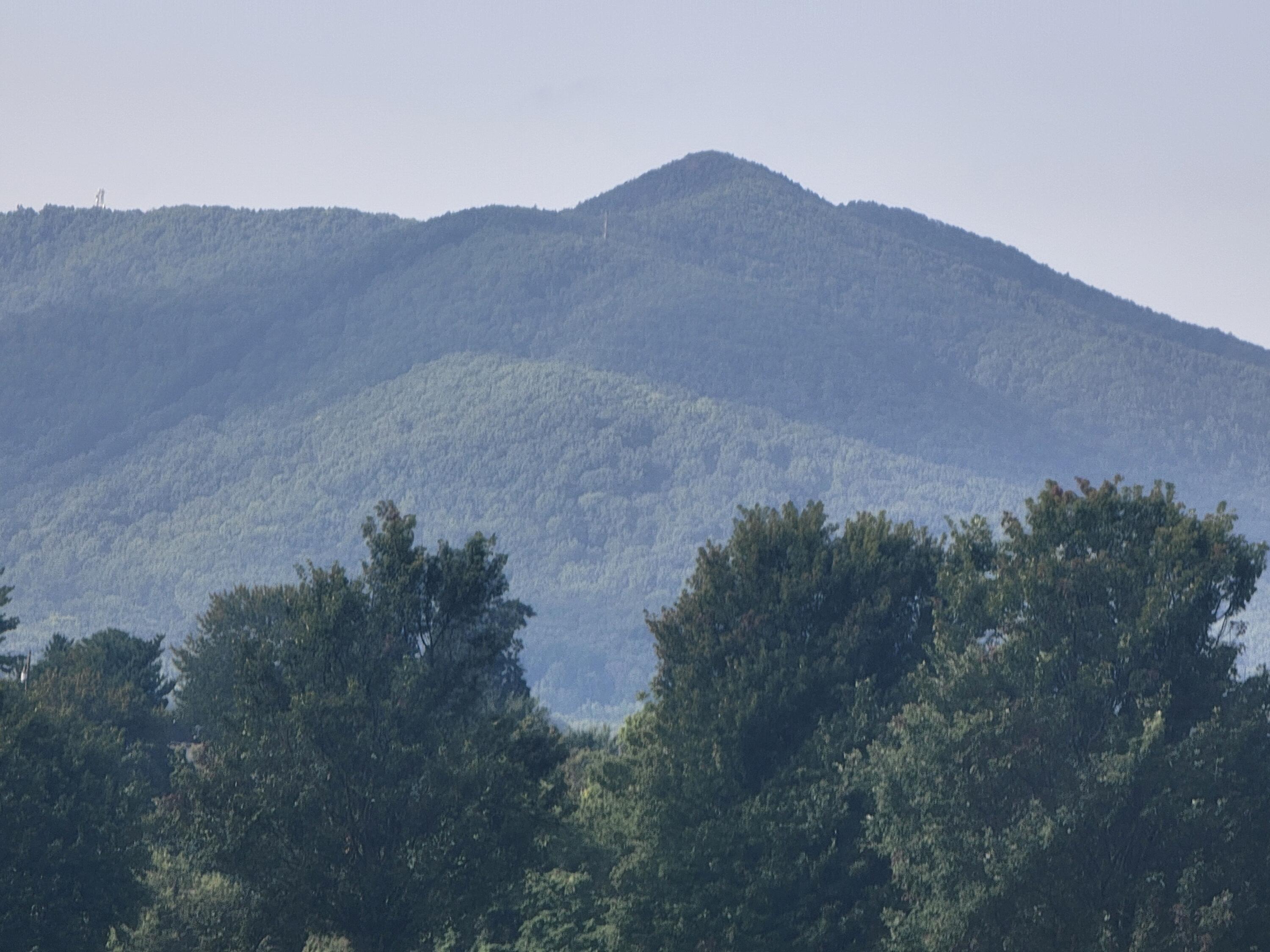 227 W Carrollton AVE