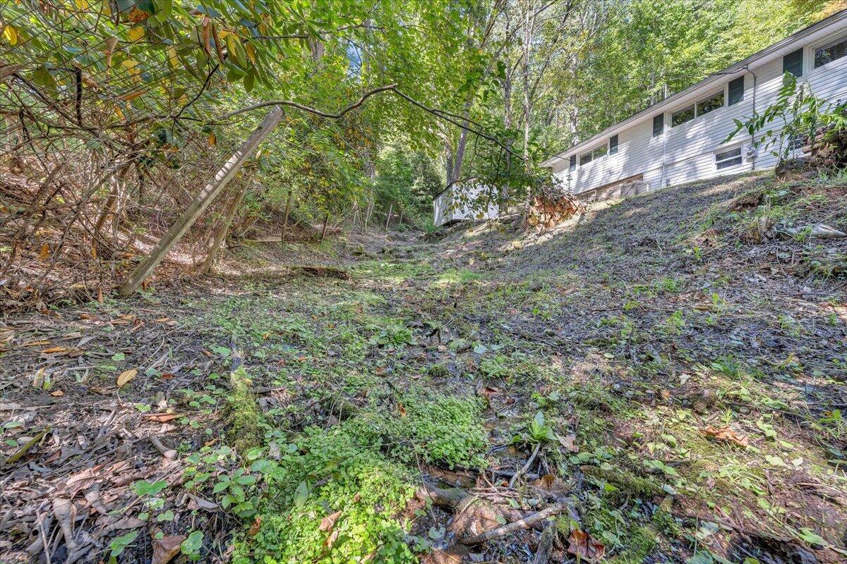 1203 Bottom Creek LN