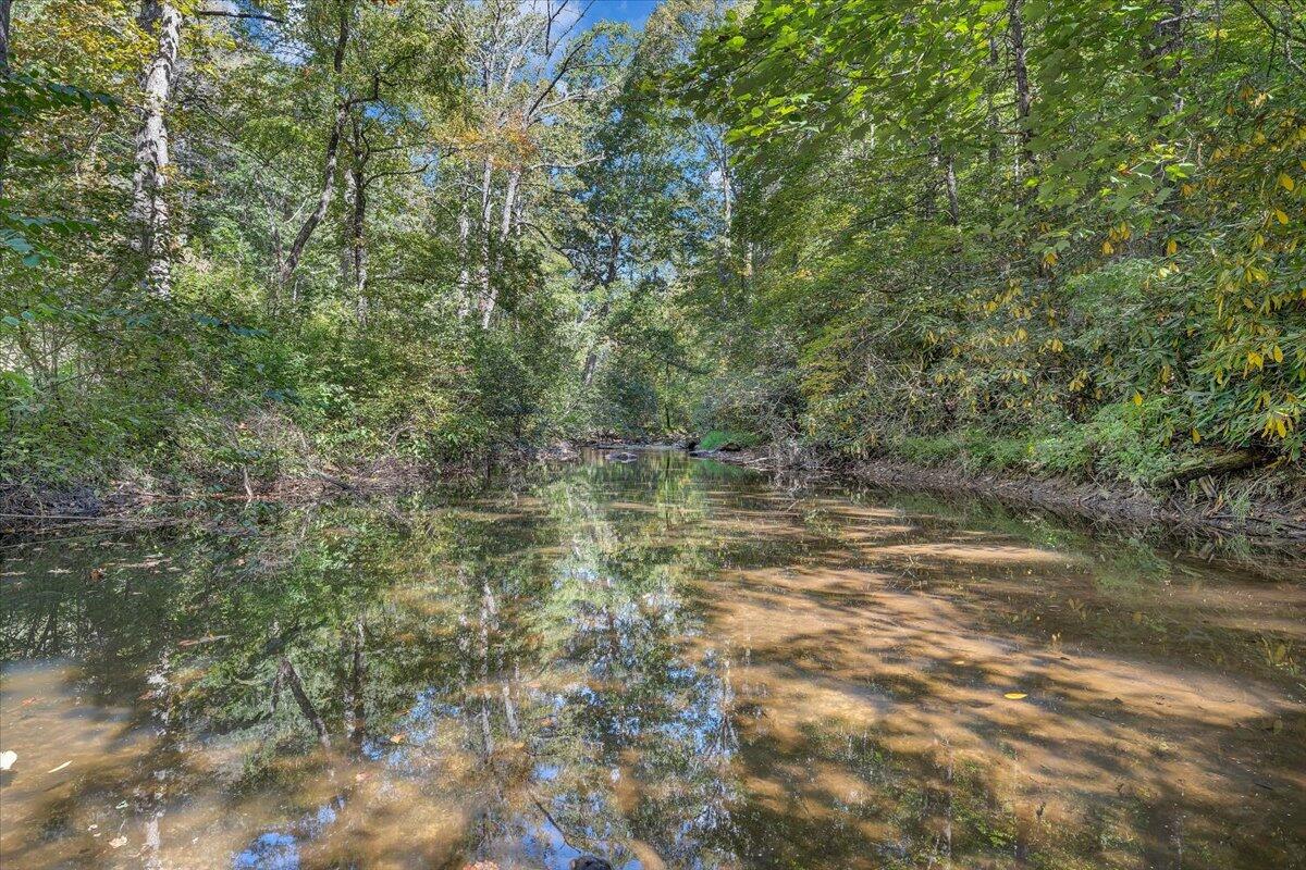 1203 Bottom Creek LN