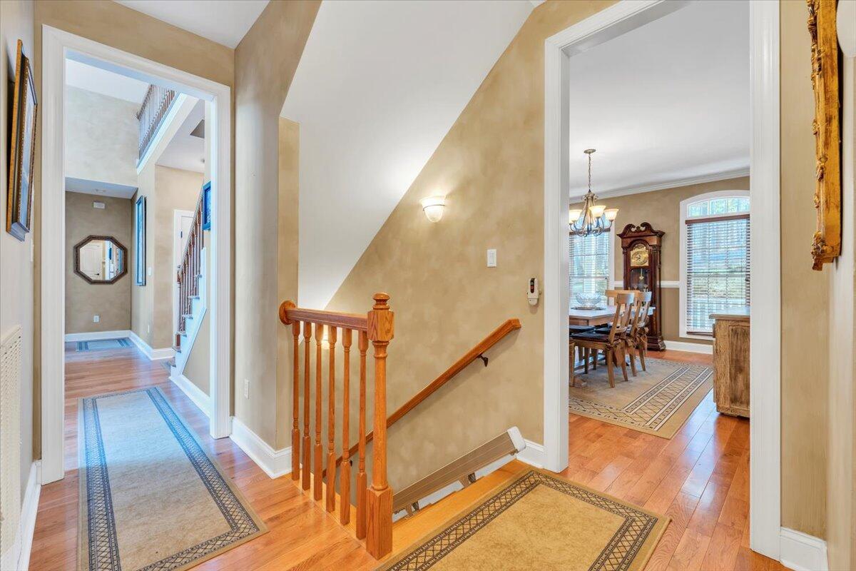 5565 Carons View LN