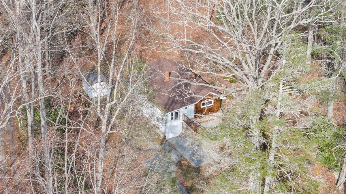 1203 1203 Bottom Creek Lane LN
