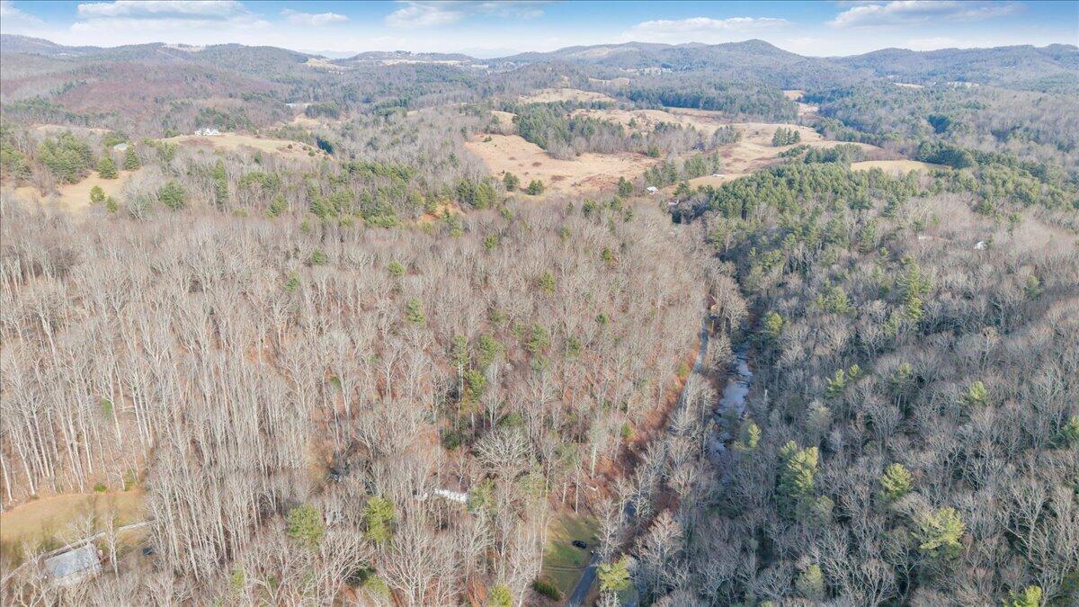 1203 1203 Bottom Creek Lane LN