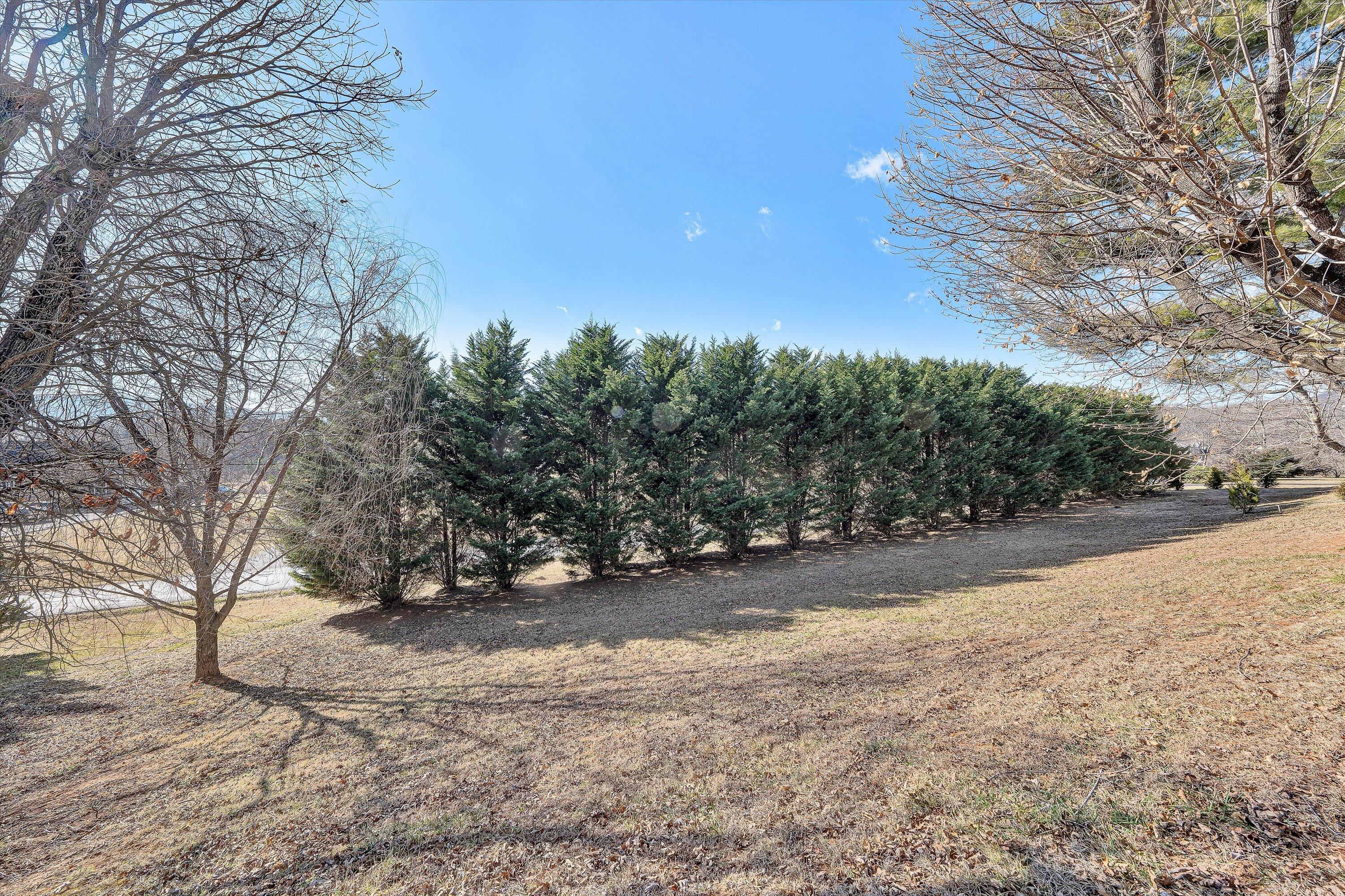 1944 Blue Ridge Springs RD