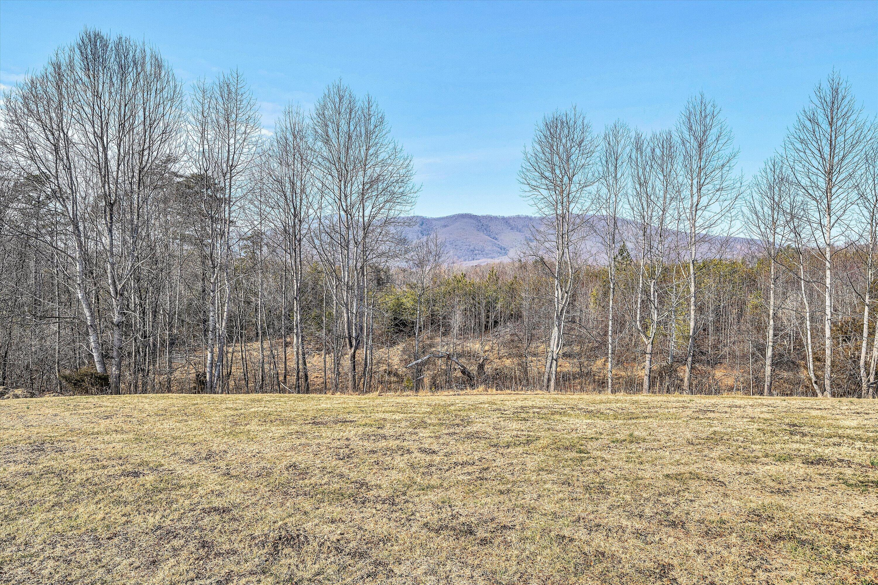 323 DEERBERRY LN