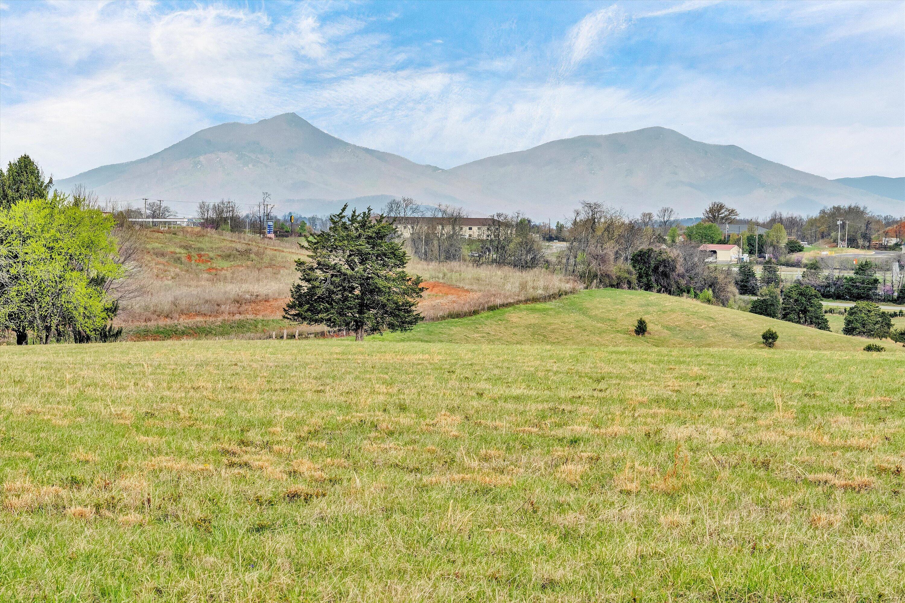 1006 Green Meadow RD