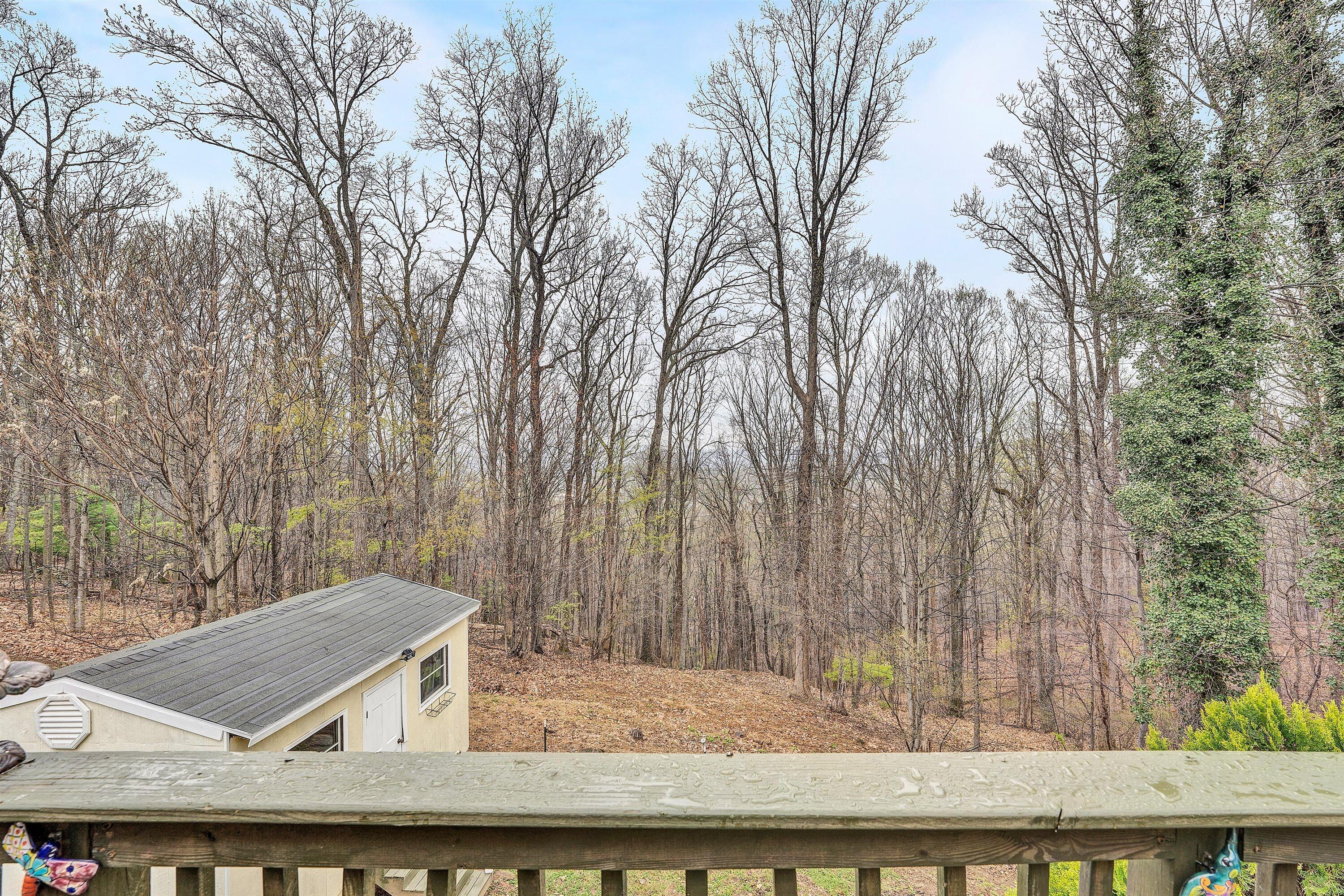 1005 Chestnut Mountain DR