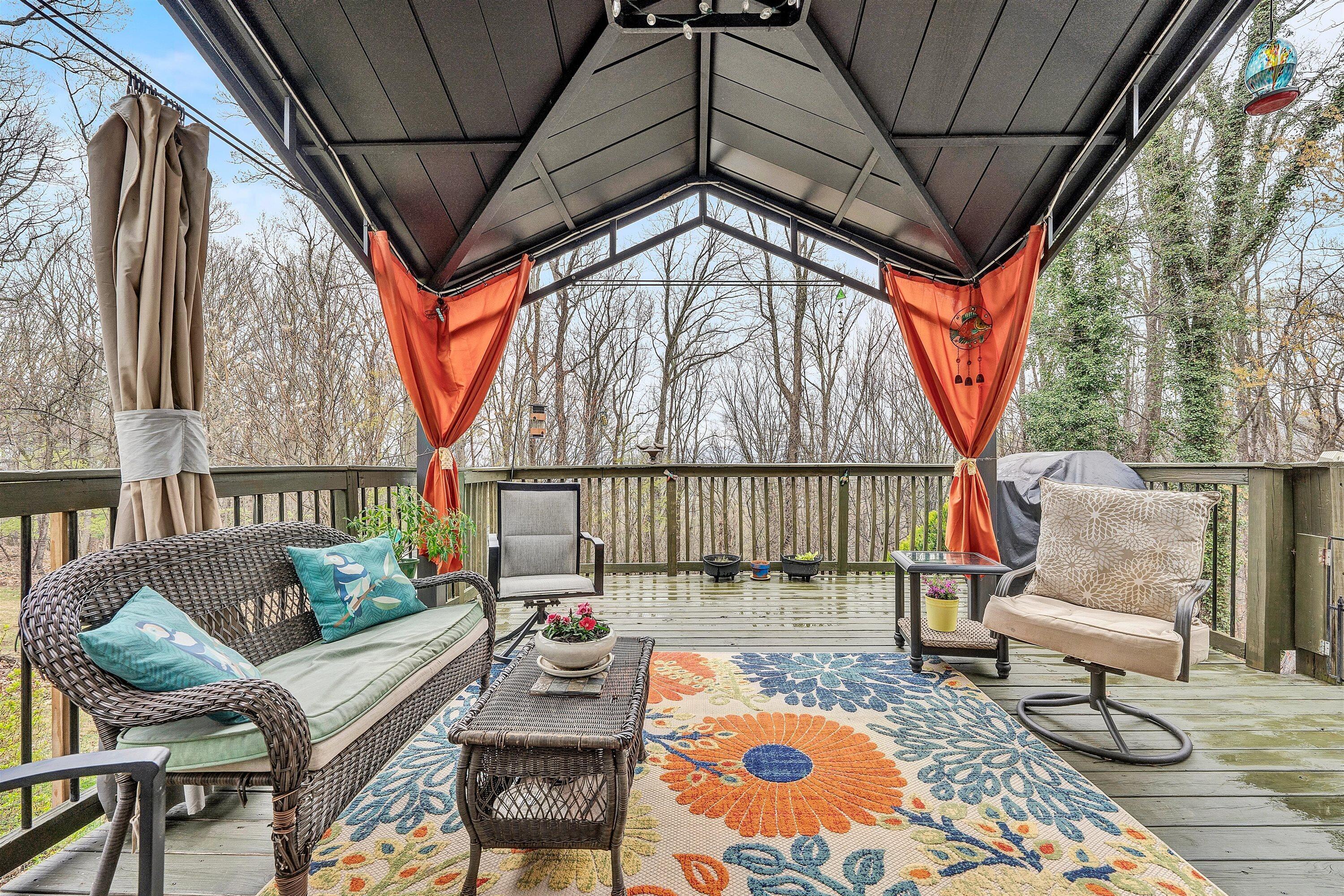 1005 Chestnut Mountain DR