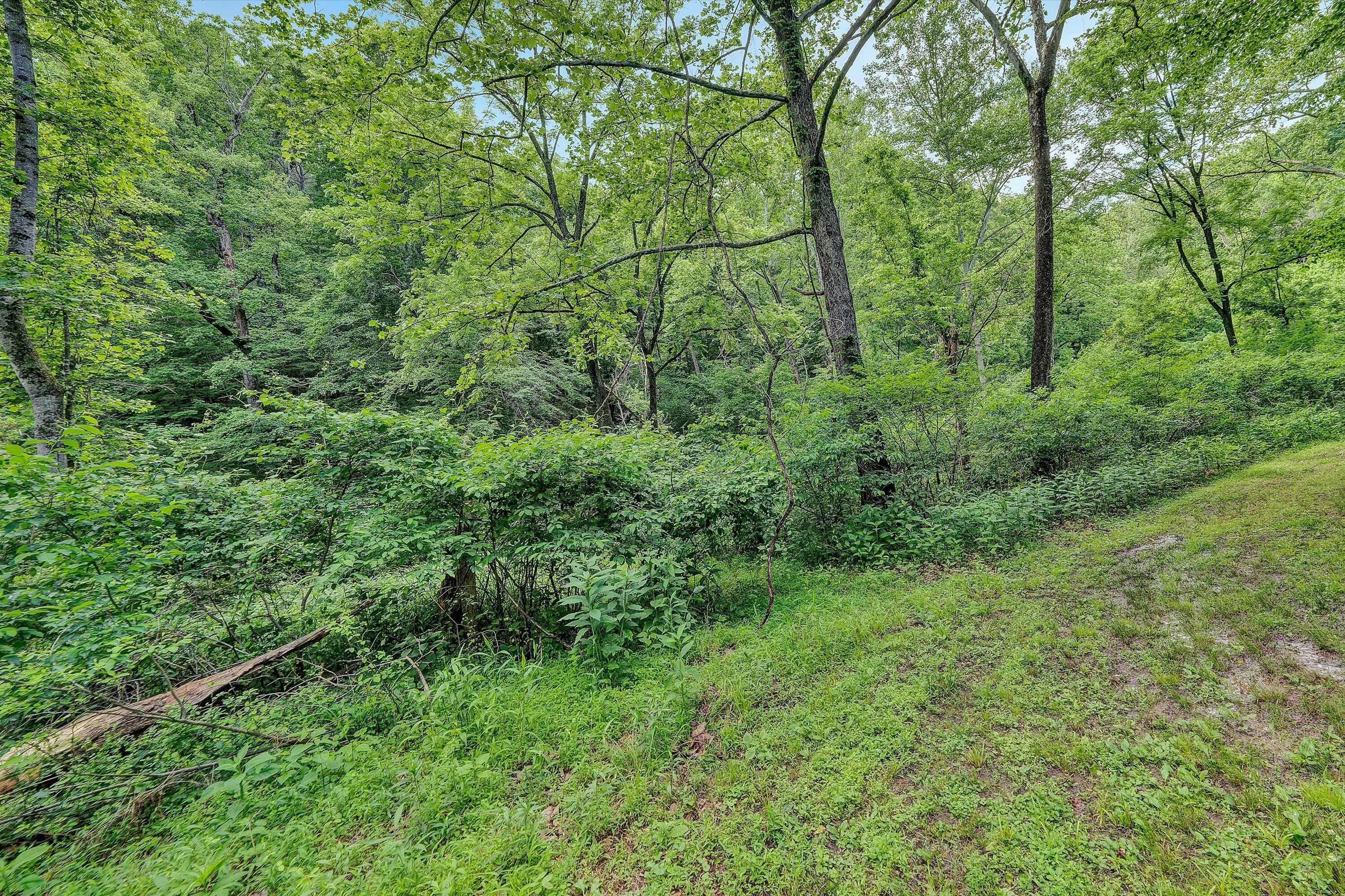 1955 Poplar View RD
