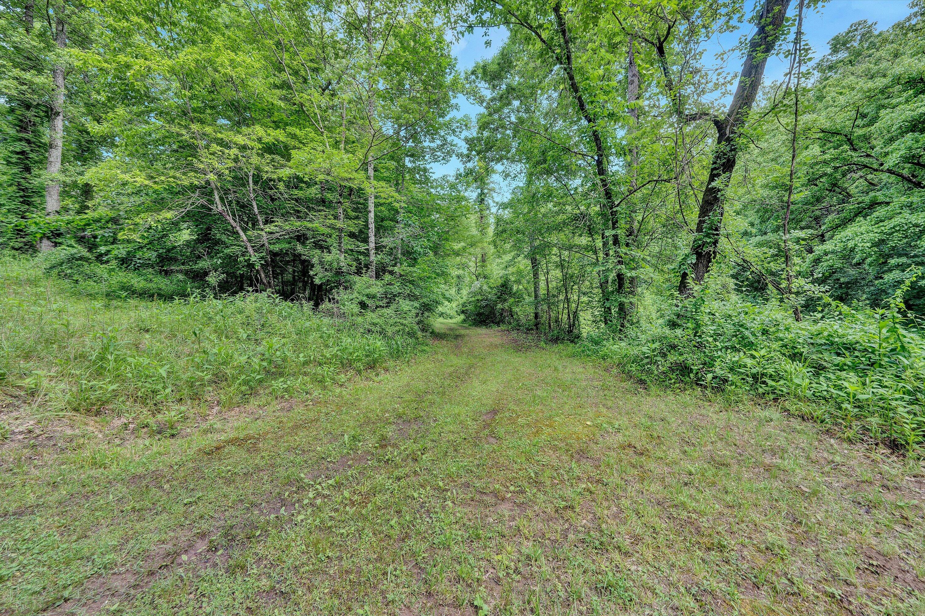 1955 Poplar View RD