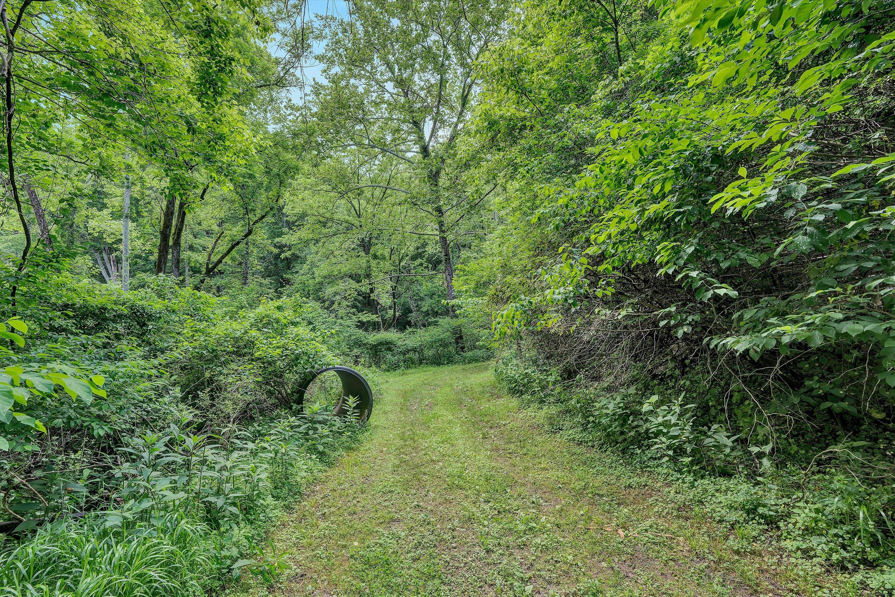 1955 Poplar View RD