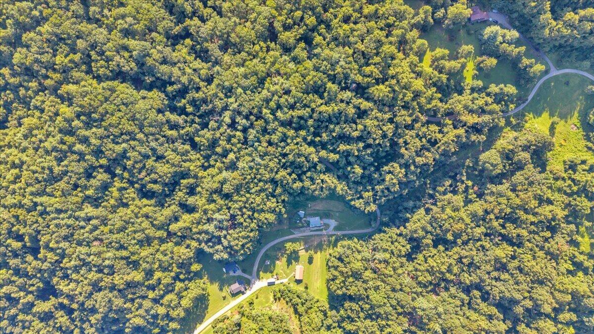 351 Meadow Branch RD