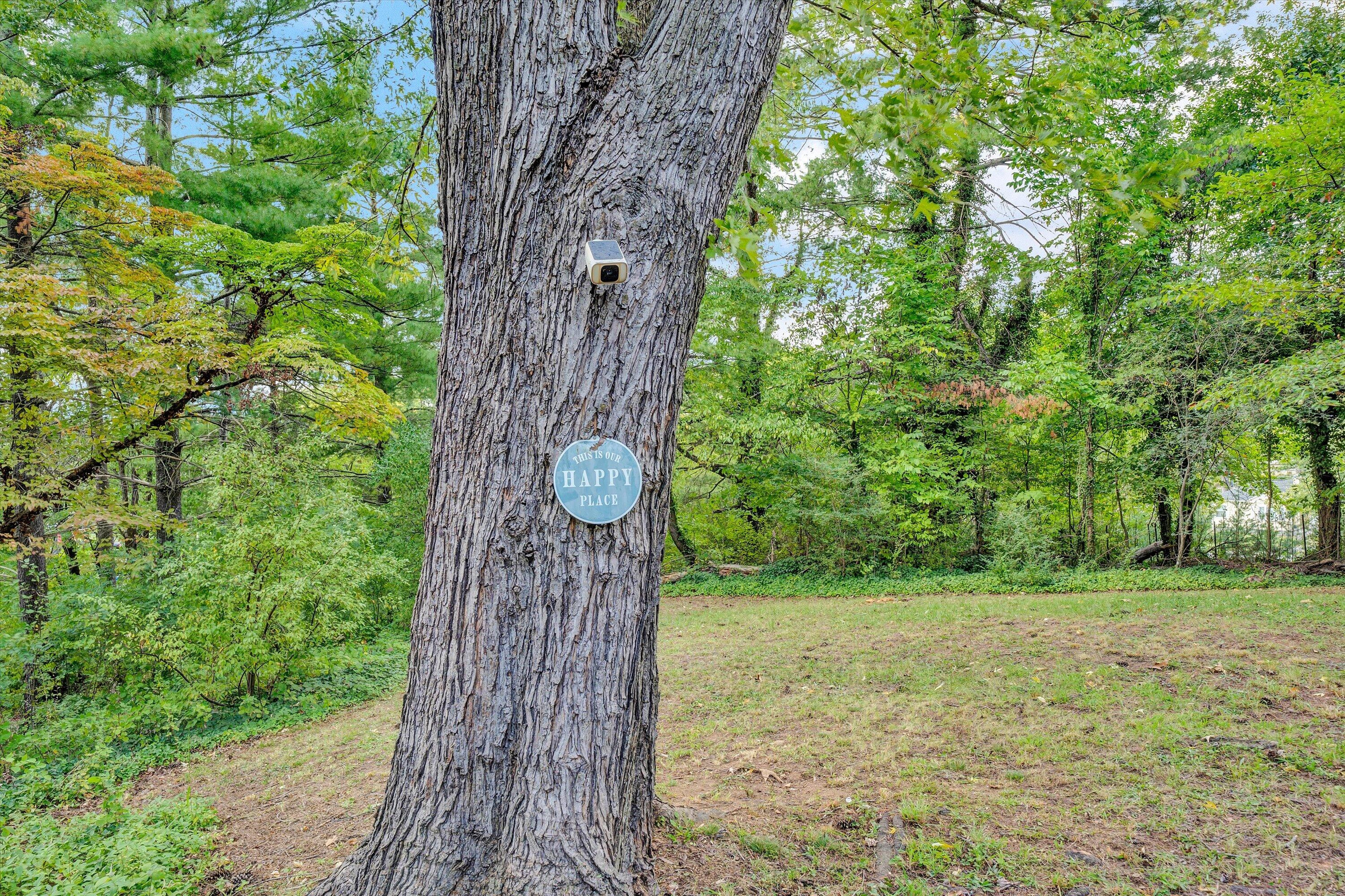 324 Jamie LN