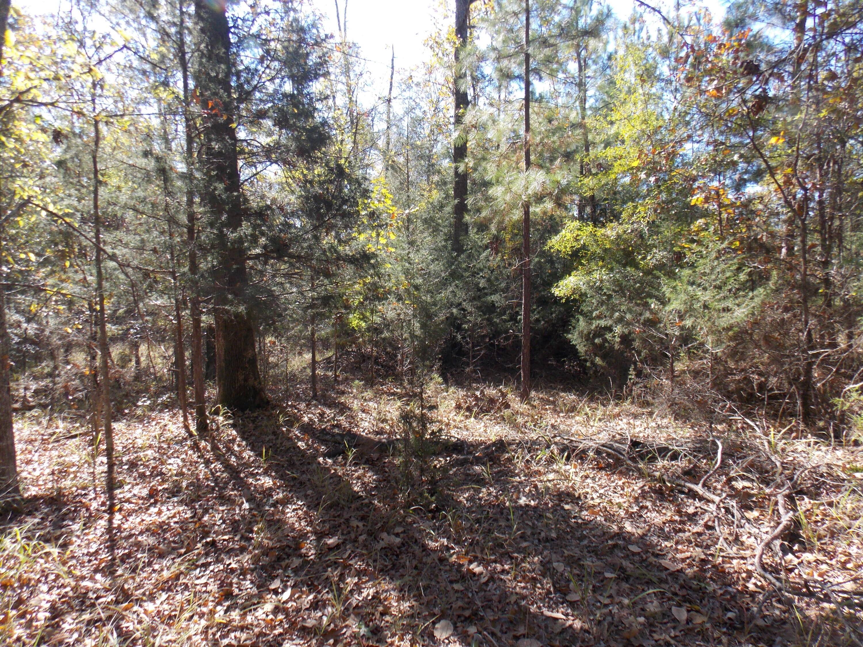 00 CHAMBERLAIN FERRY Road