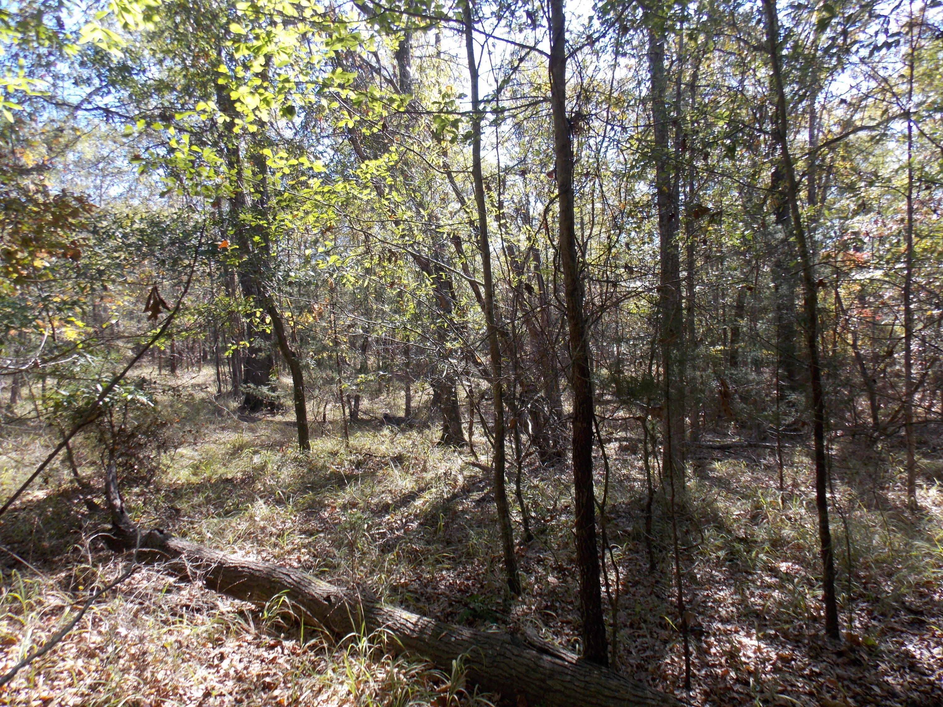 00 CHAMBERLAIN FERRY Road