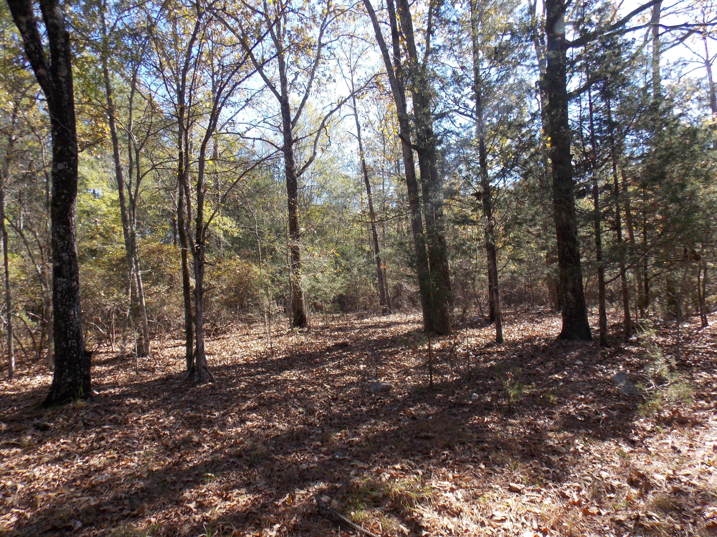 00 CHAMBERLAIN FERRY Road