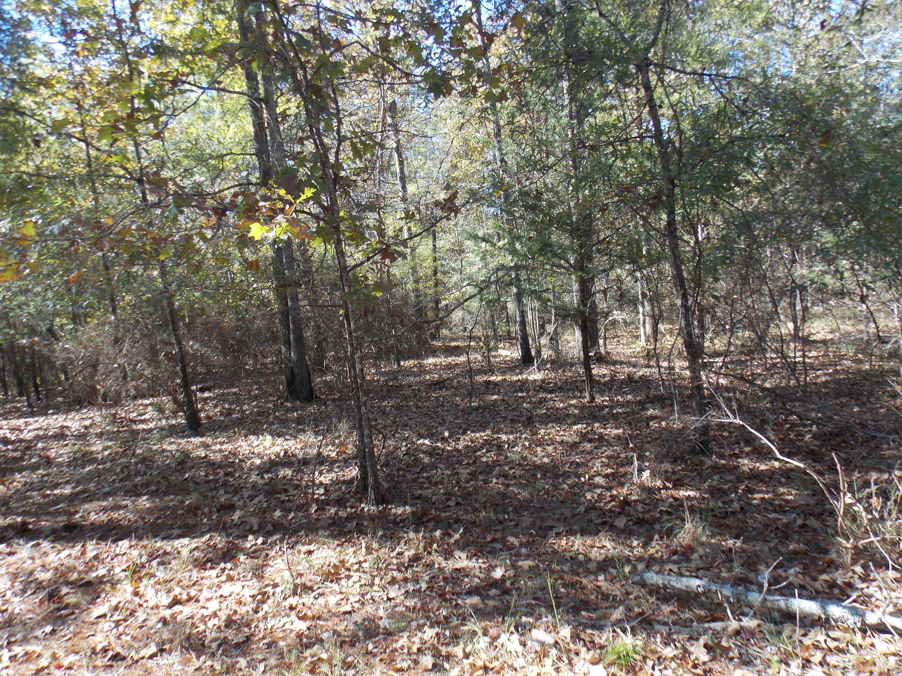 00 CHAMBERLAIN FERRY Road